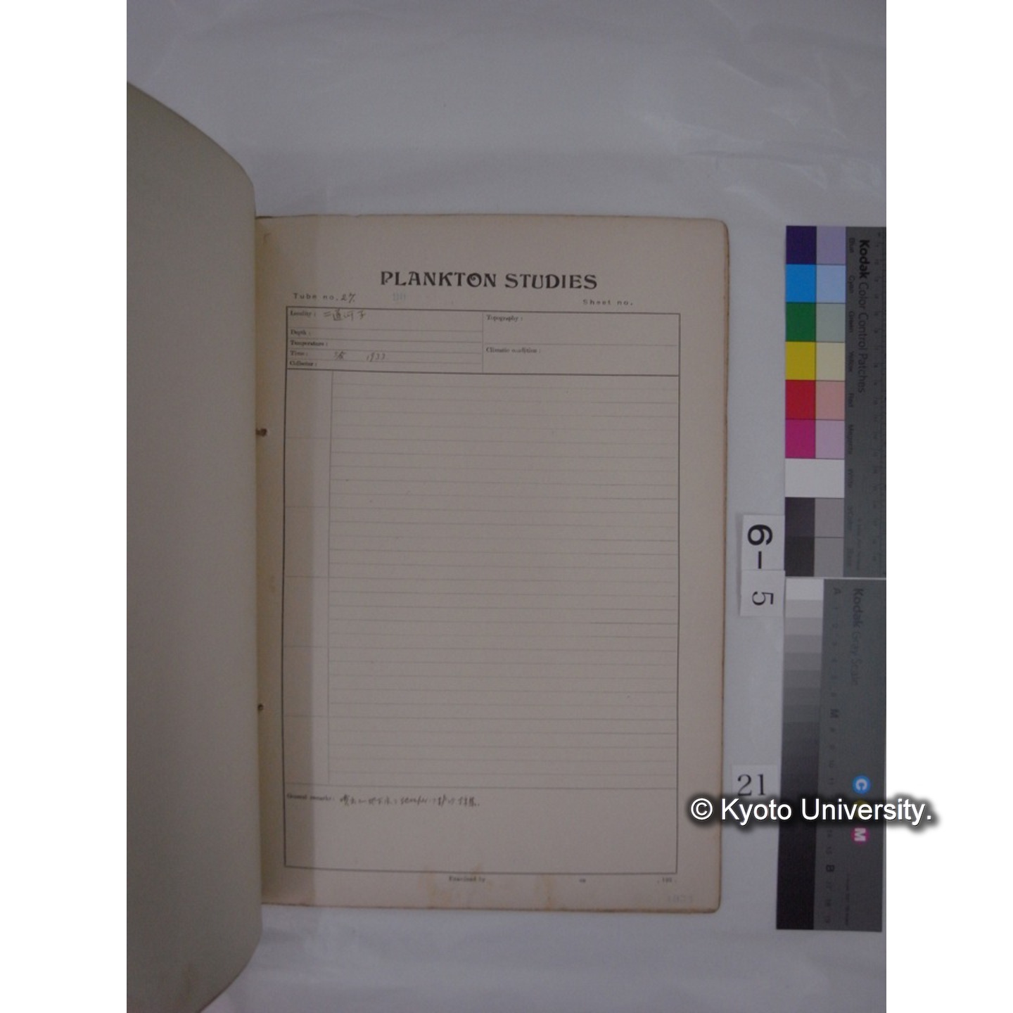 プランクトン標本調査カード (昭和8年,満州調査時採集標本) (21)