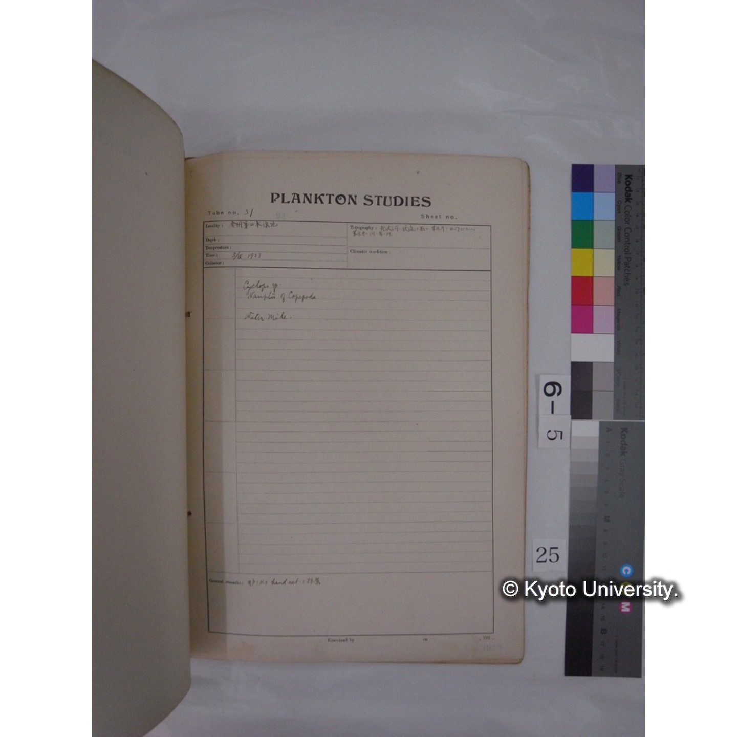 プランクトン標本調査カード (昭和8年,満州調査時採集標本) (25)