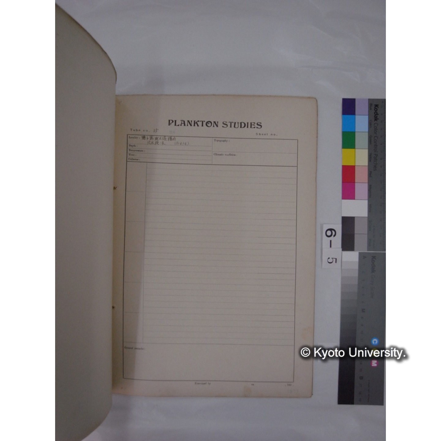 プランクトン標本調査カード (昭和8年,満州調査時採集標本) (29)