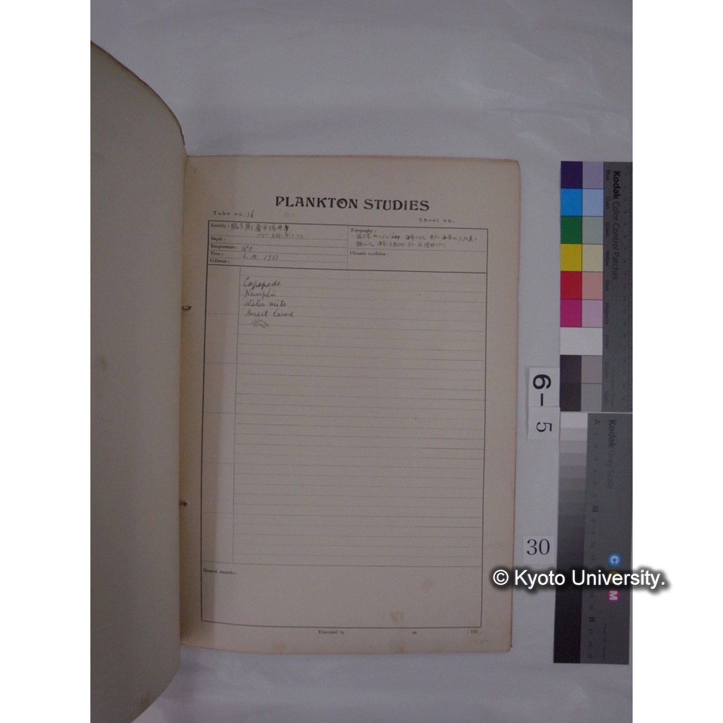 プランクトン標本調査カード (昭和8年,満州調査時採集標本) (30)