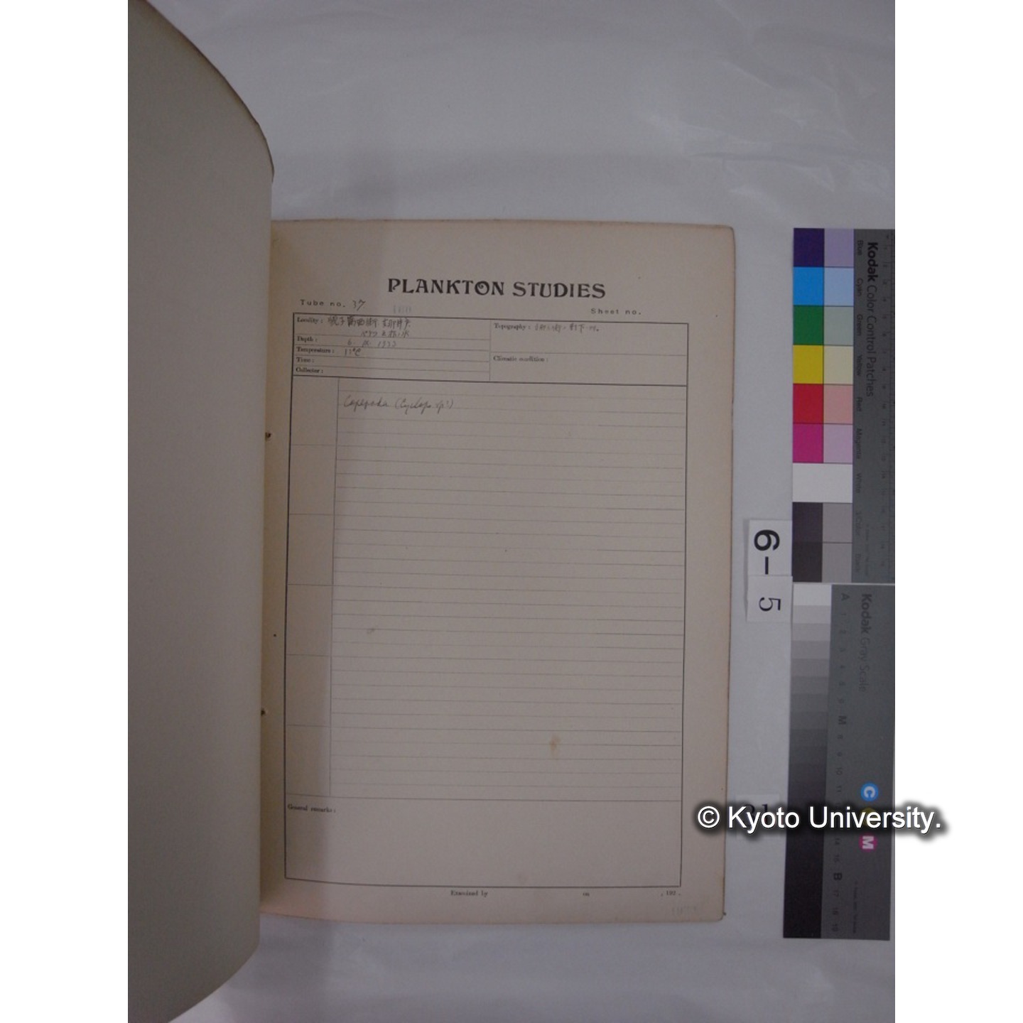 プランクトン標本調査カード (昭和8年,満州調査時採集標本) (31)
