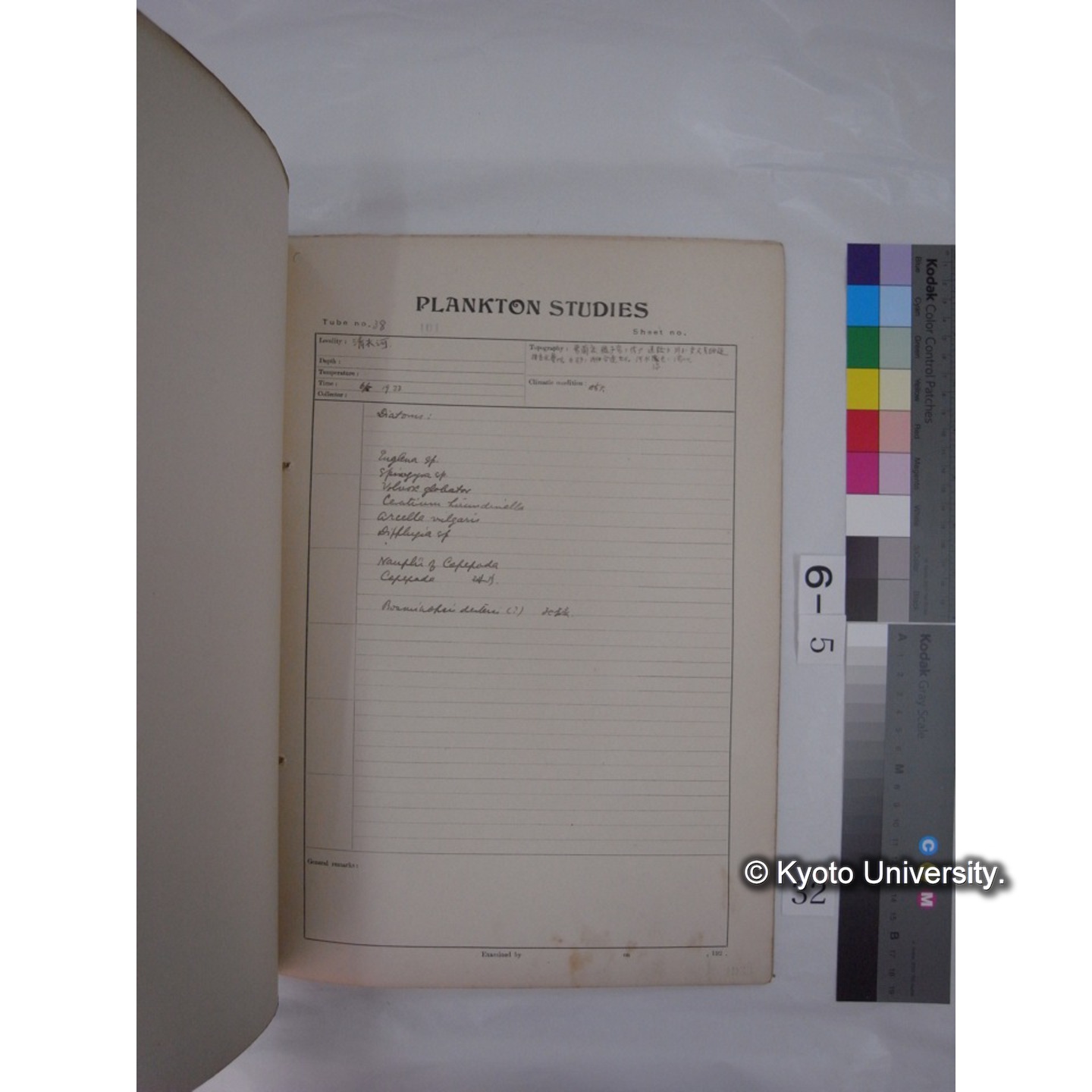 プランクトン標本調査カード (昭和8年,満州調査時採集標本) (32)