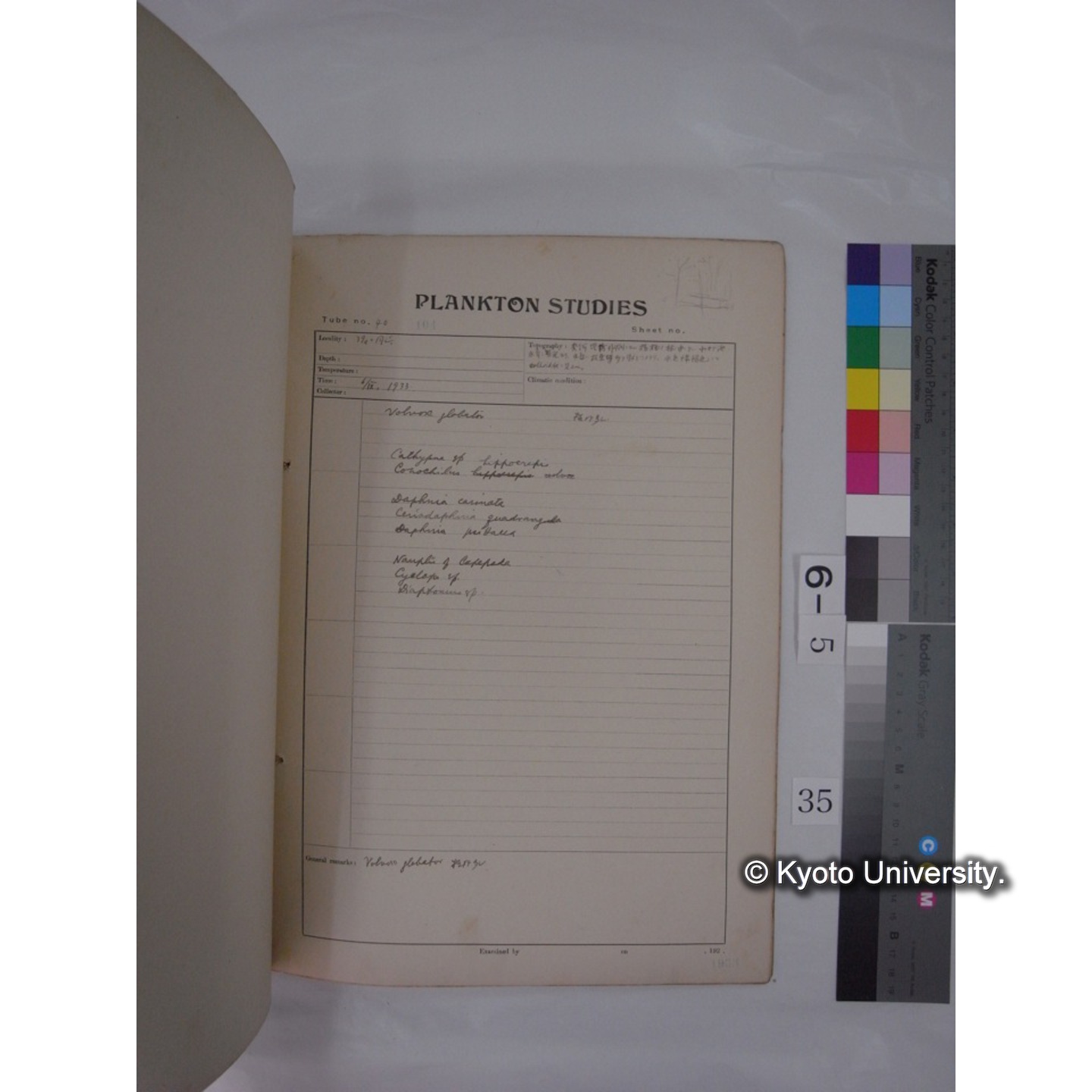 プランクトン標本調査カード (昭和8年,満州調査時採集標本) (35)
