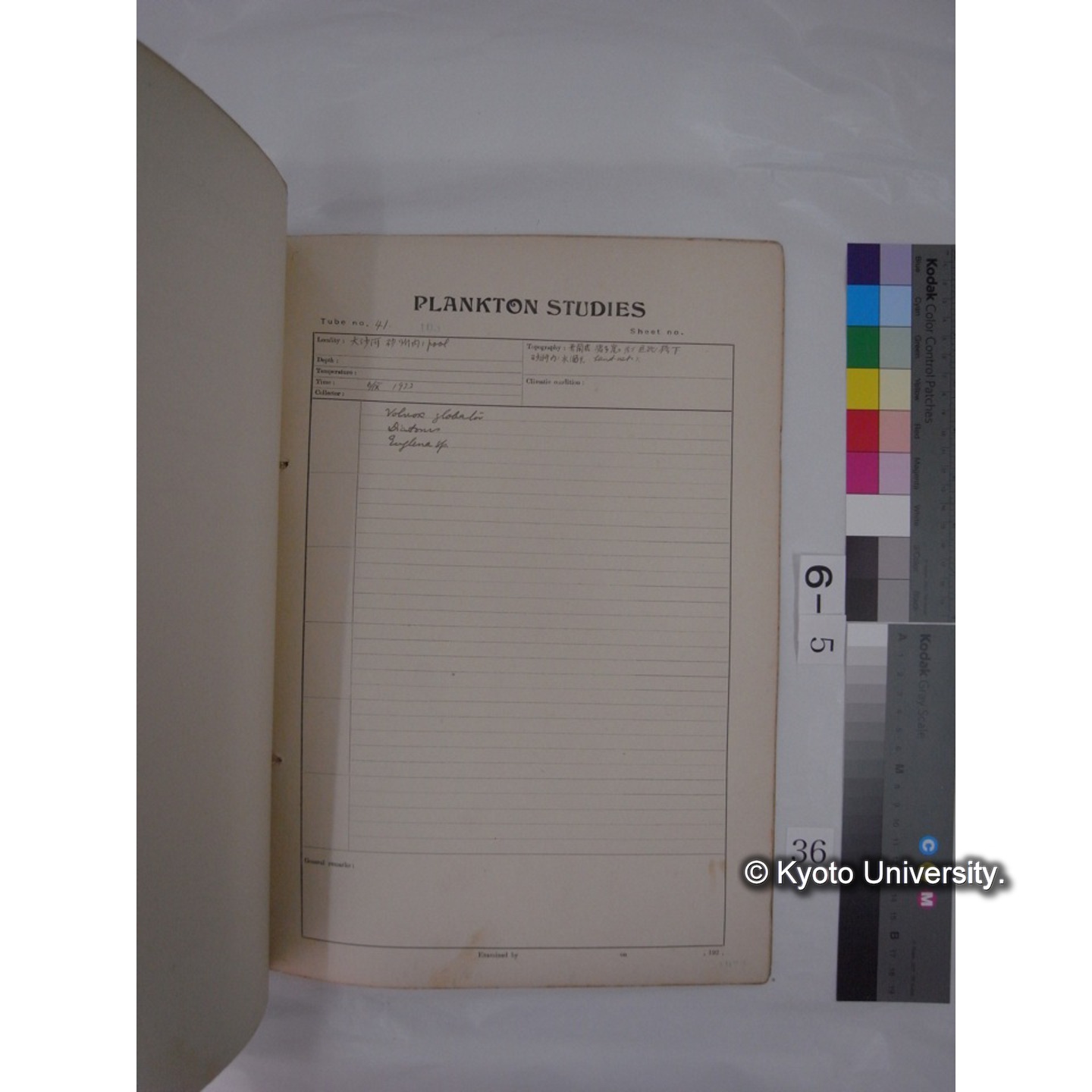 プランクトン標本調査カード (昭和8年,満州調査時採集標本) (36)