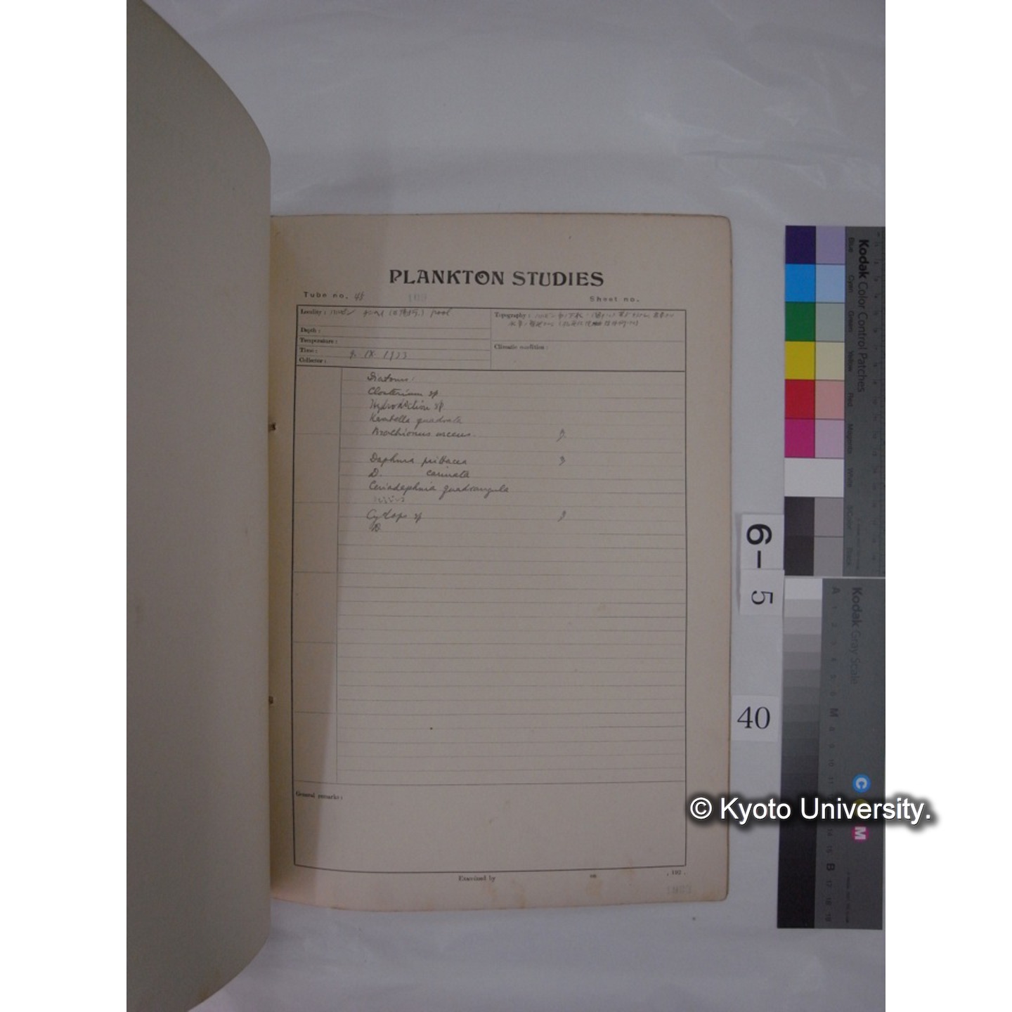 プランクトン標本調査カード (昭和8年,満州調査時採集標本) (40)