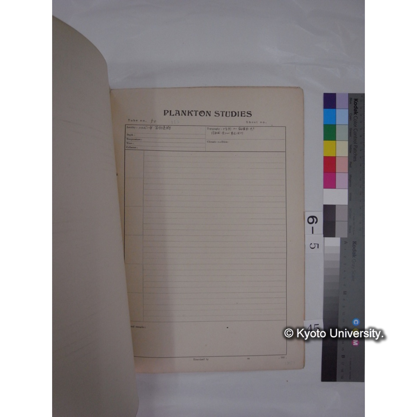 プランクトン標本調査カード (昭和8年,満州調査時採集標本) (45)