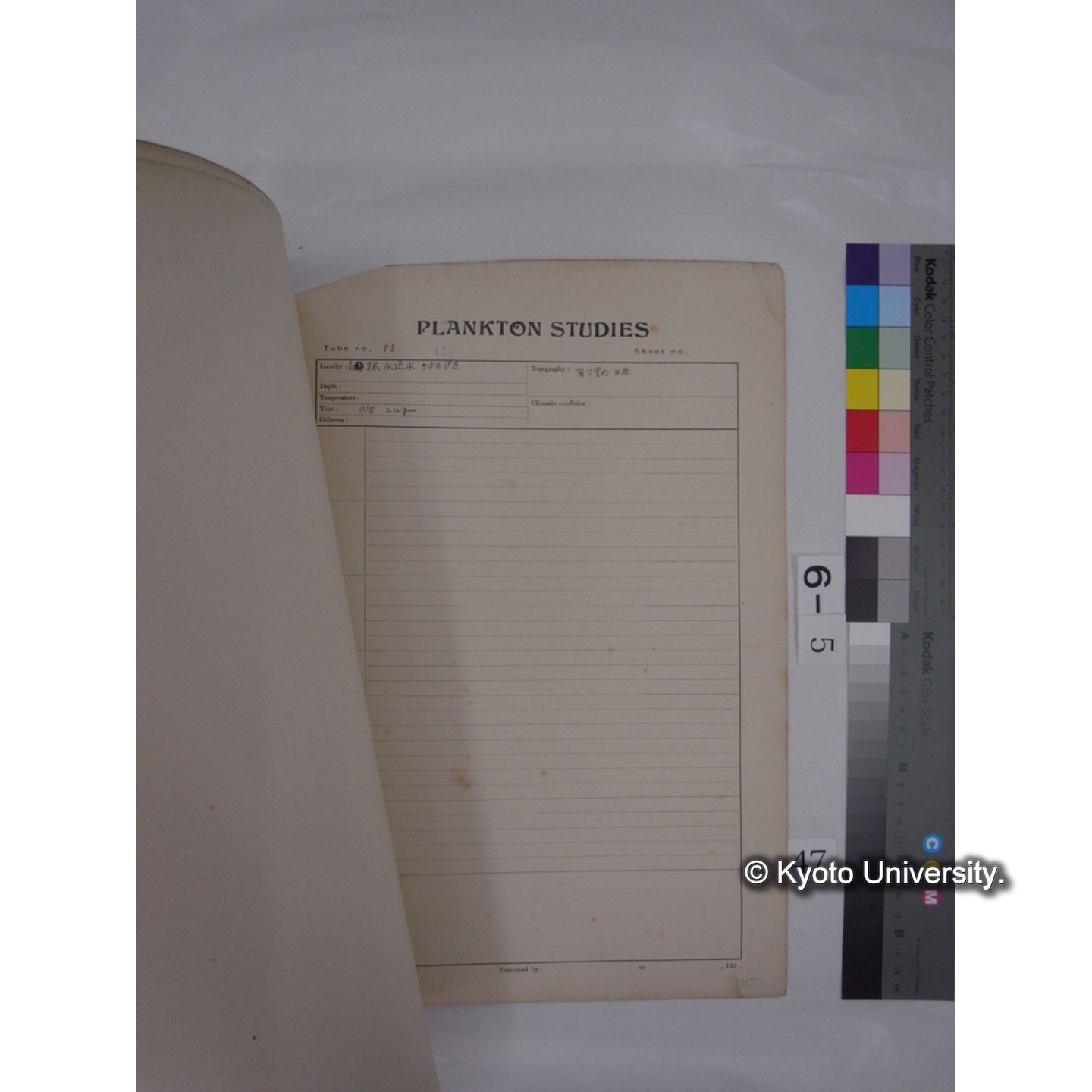 プランクトン標本調査カード (昭和8年,満州調査時採集標本) (47)