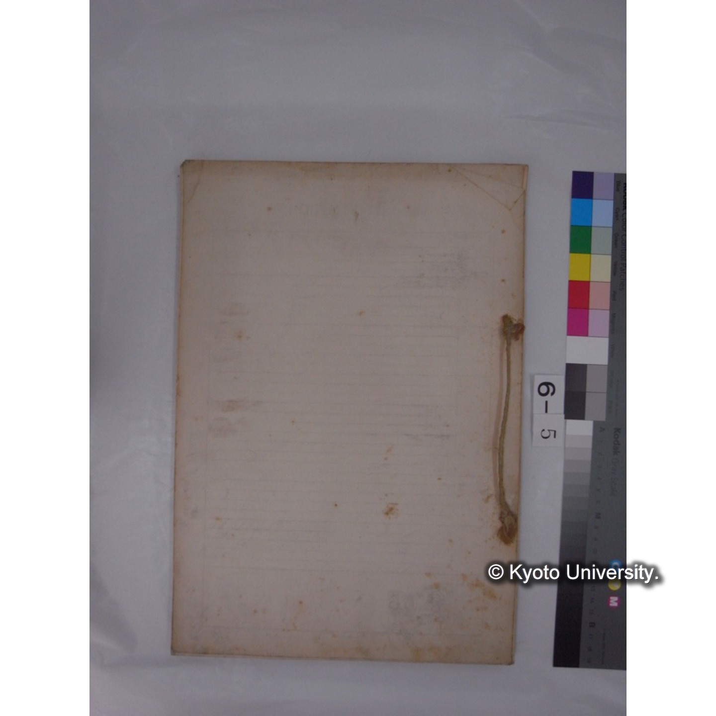 プランクトン標本調査カード (昭和8年,満州調査時採集標本) (48)