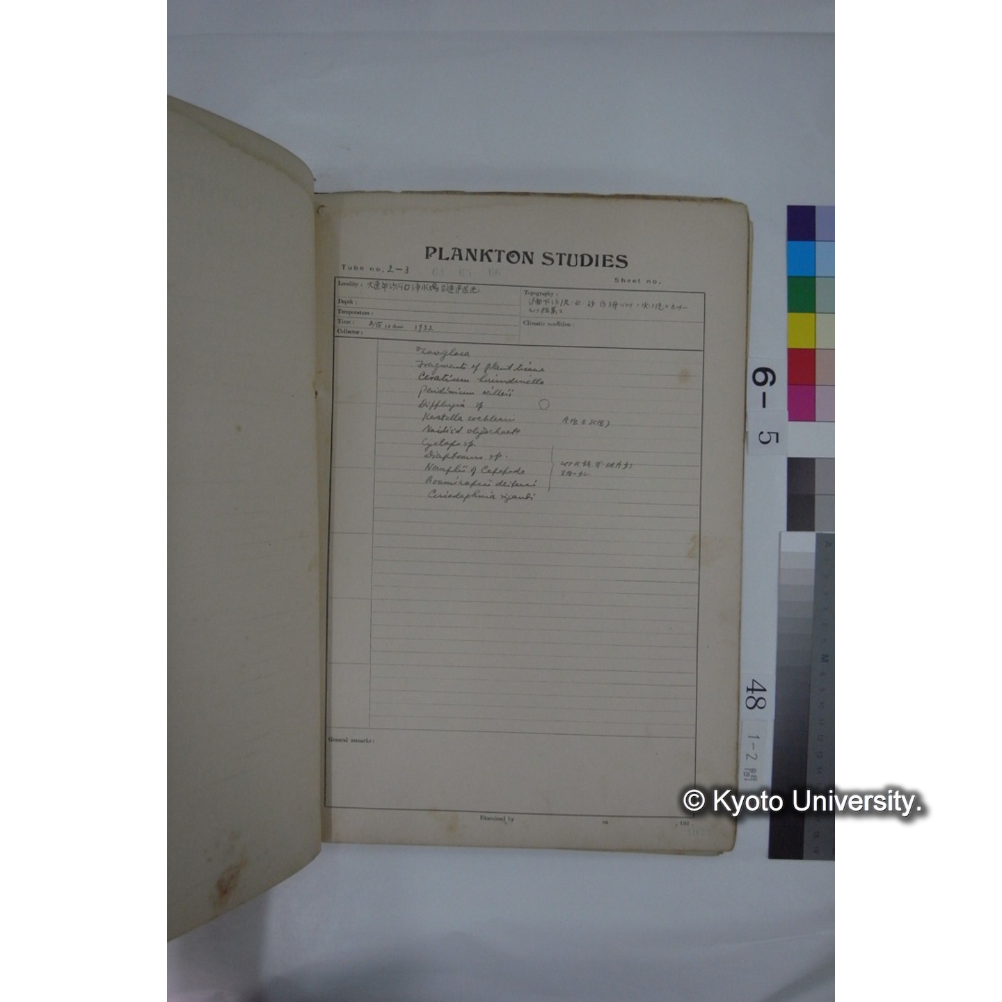 プランクトン標本調査カード (昭和8年,満州調査時採集標本) (49)