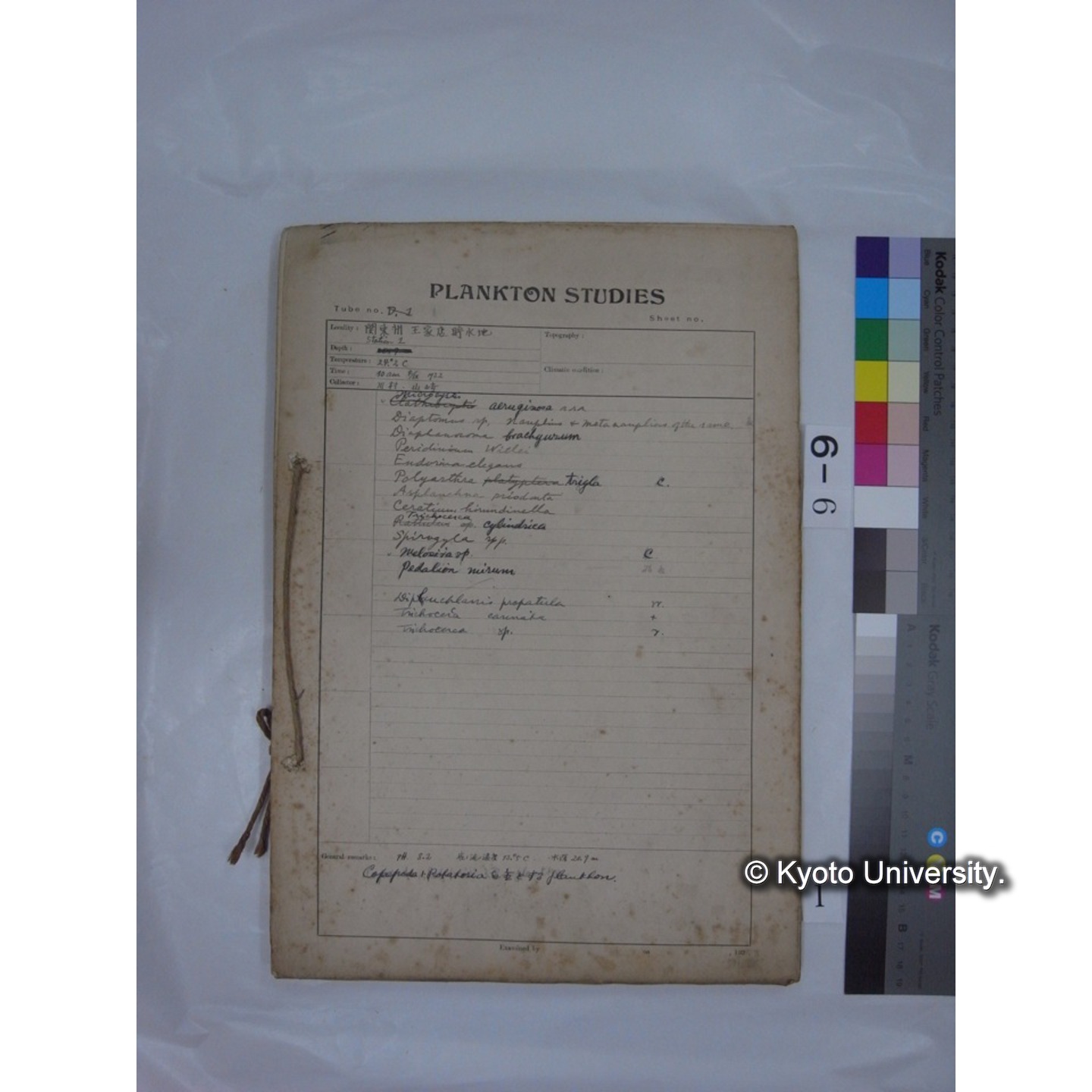 プランクトン標本調査カード (昭和7年,満州調査時採集標本) (1)