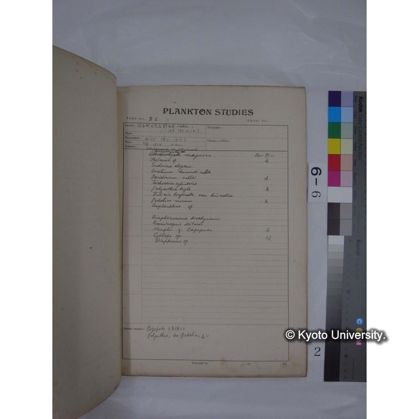 プランクトン標本調査カード (昭和7年,満州調査時採集標本) (2)