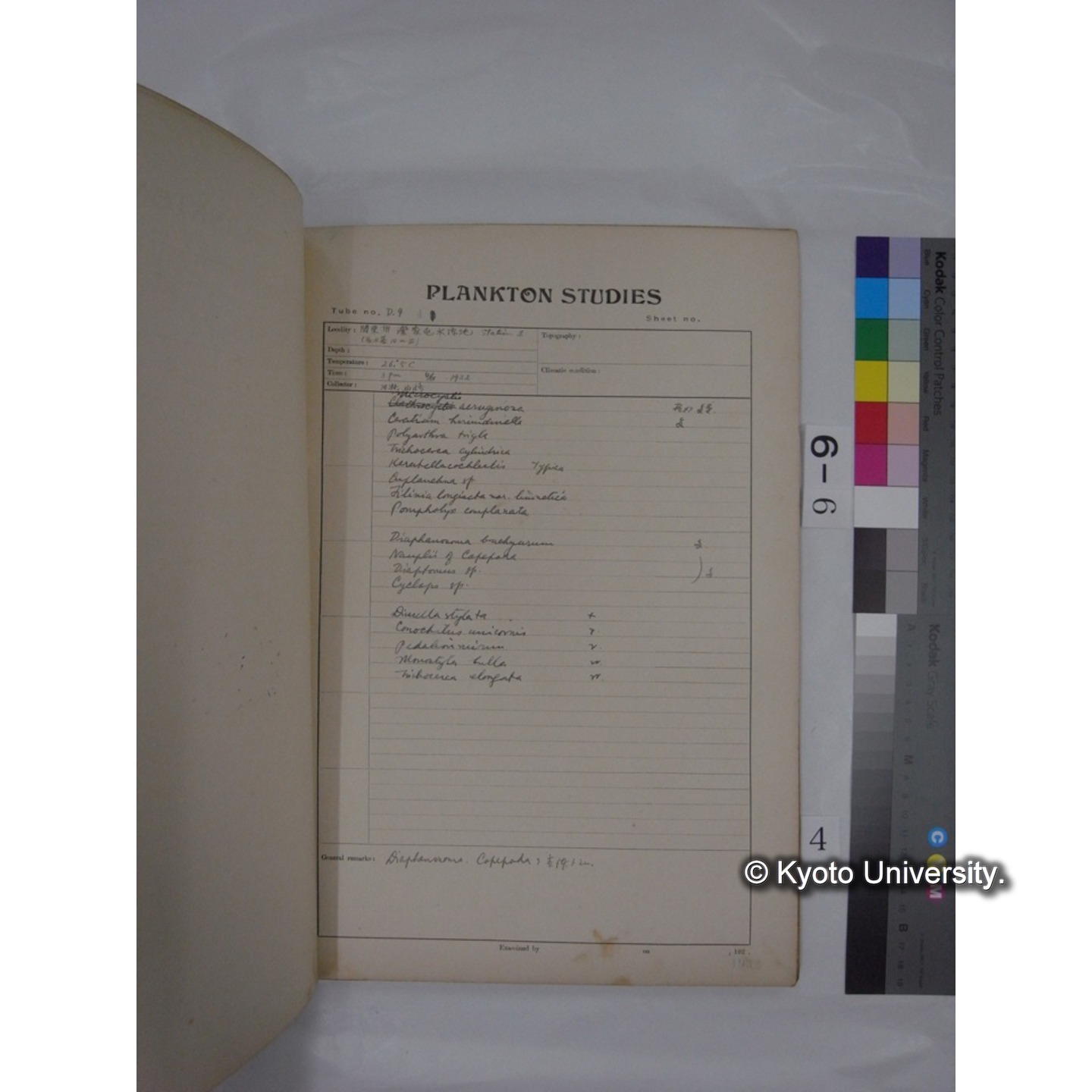 プランクトン標本調査カード (昭和7年,満州調査時採集標本) (4)