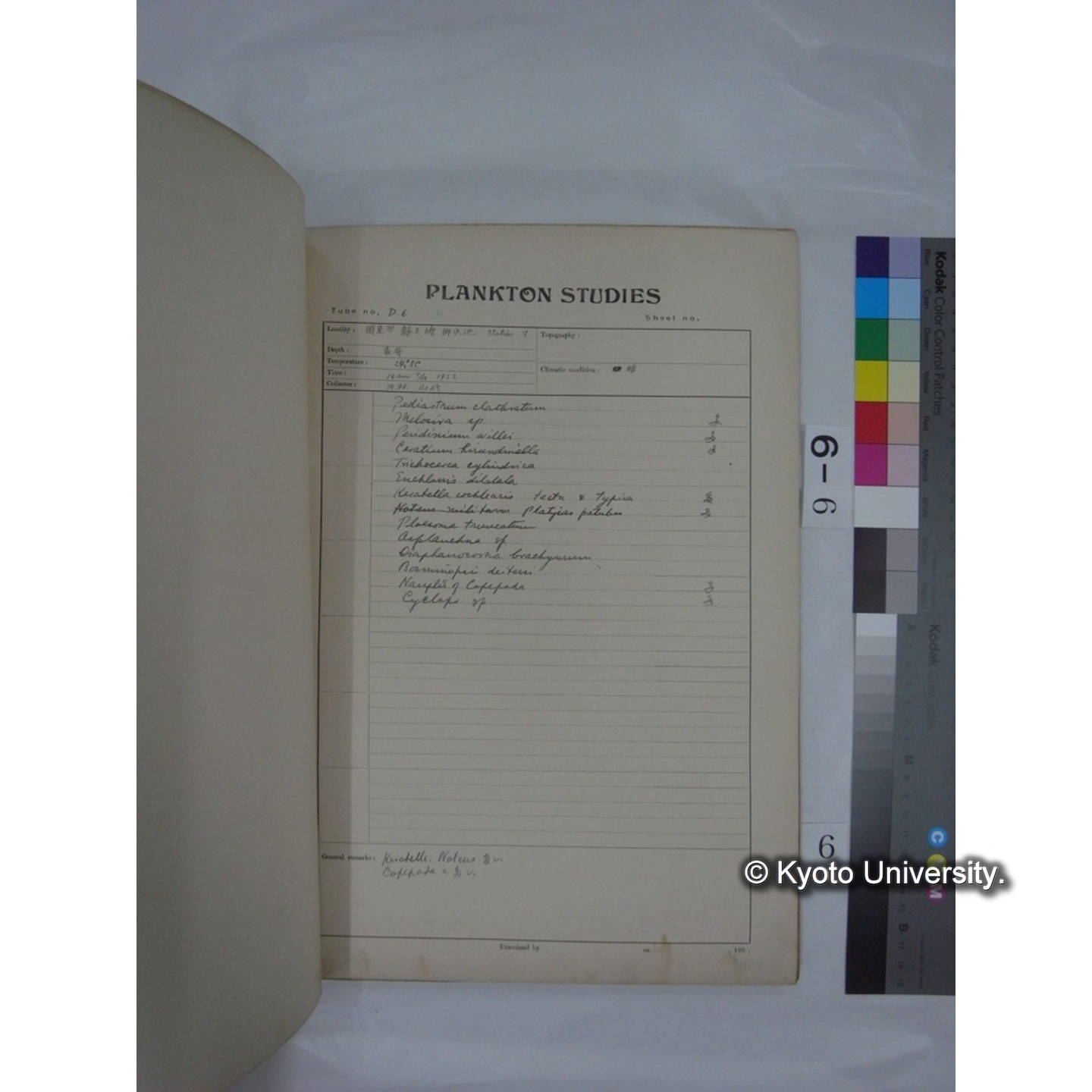 プランクトン標本調査カード (昭和7年,満州調査時採集標本) (6)