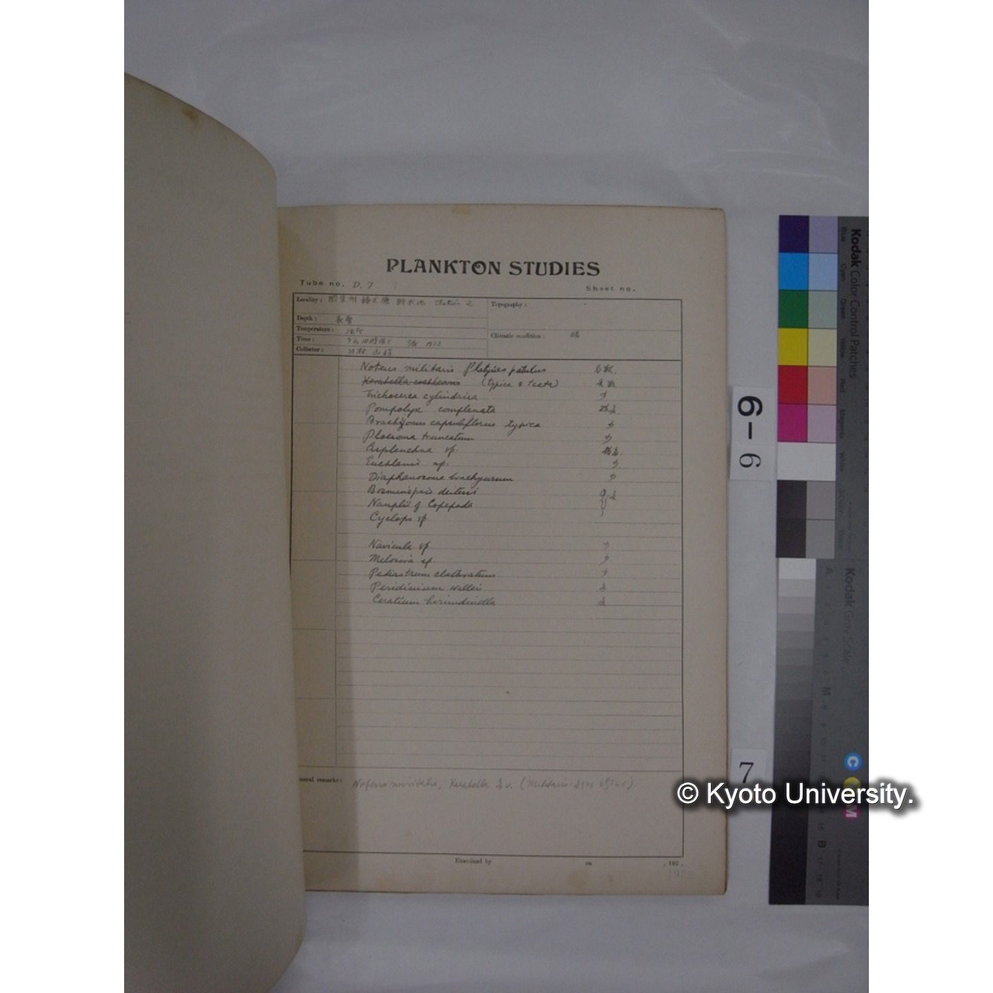 プランクトン標本調査カード (昭和7年,満州調査時採集標本) (7)
