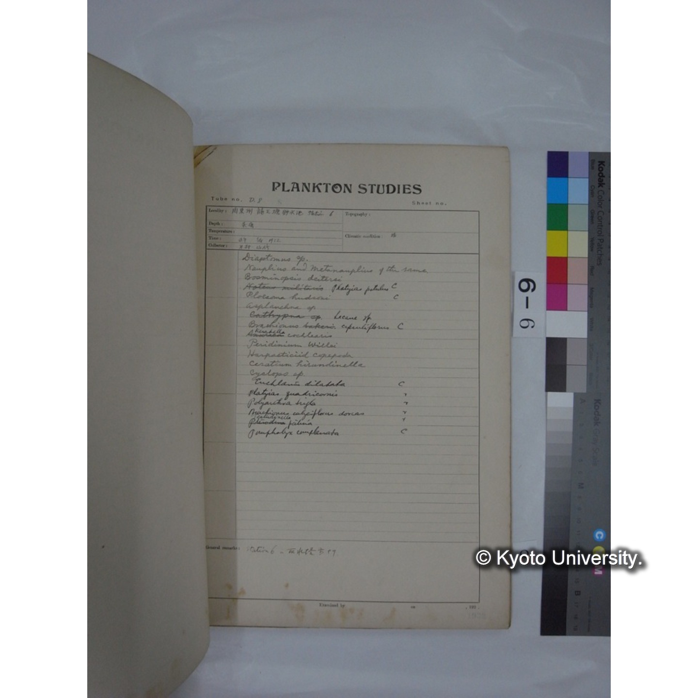 プランクトン標本調査カード (昭和7年,満州調査時採集標本) (8)