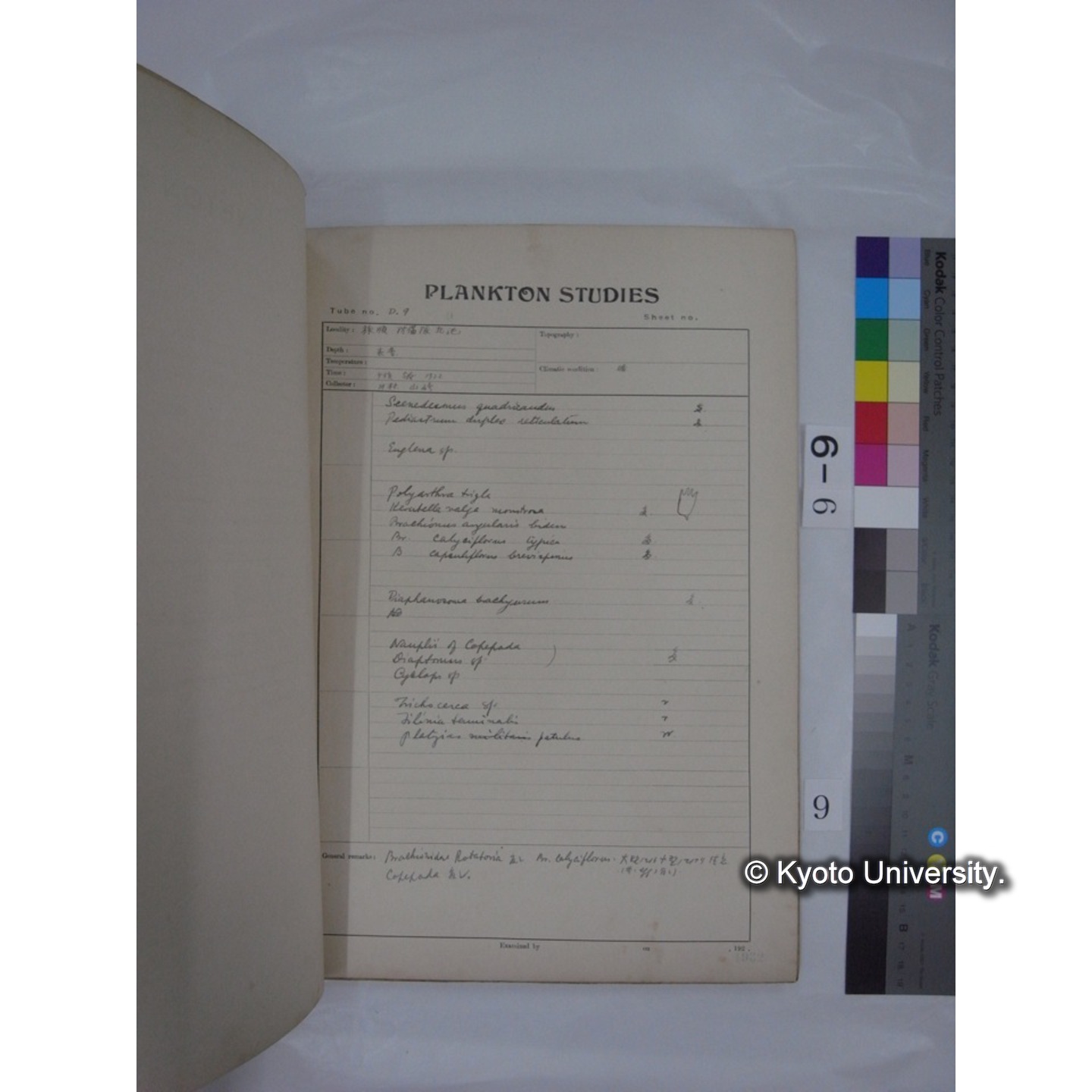 プランクトン標本調査カード (昭和7年,満州調査時採集標本) (9)