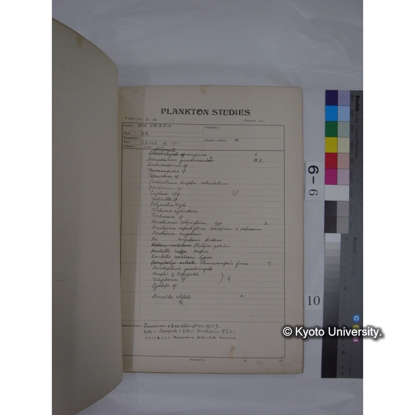 プランクトン標本調査カード (昭和7年,満州調査時採集標本) (10)