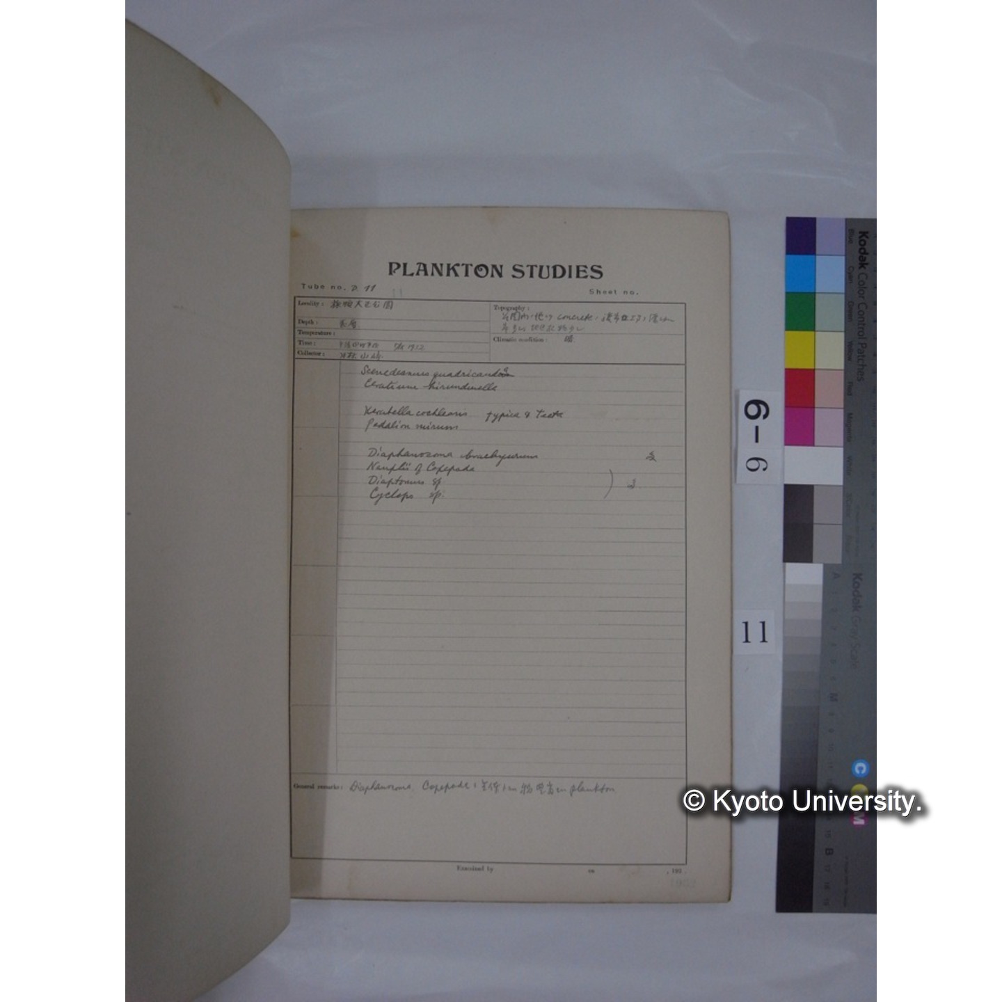 プランクトン標本調査カード (昭和7年,満州調査時採集標本) (11)