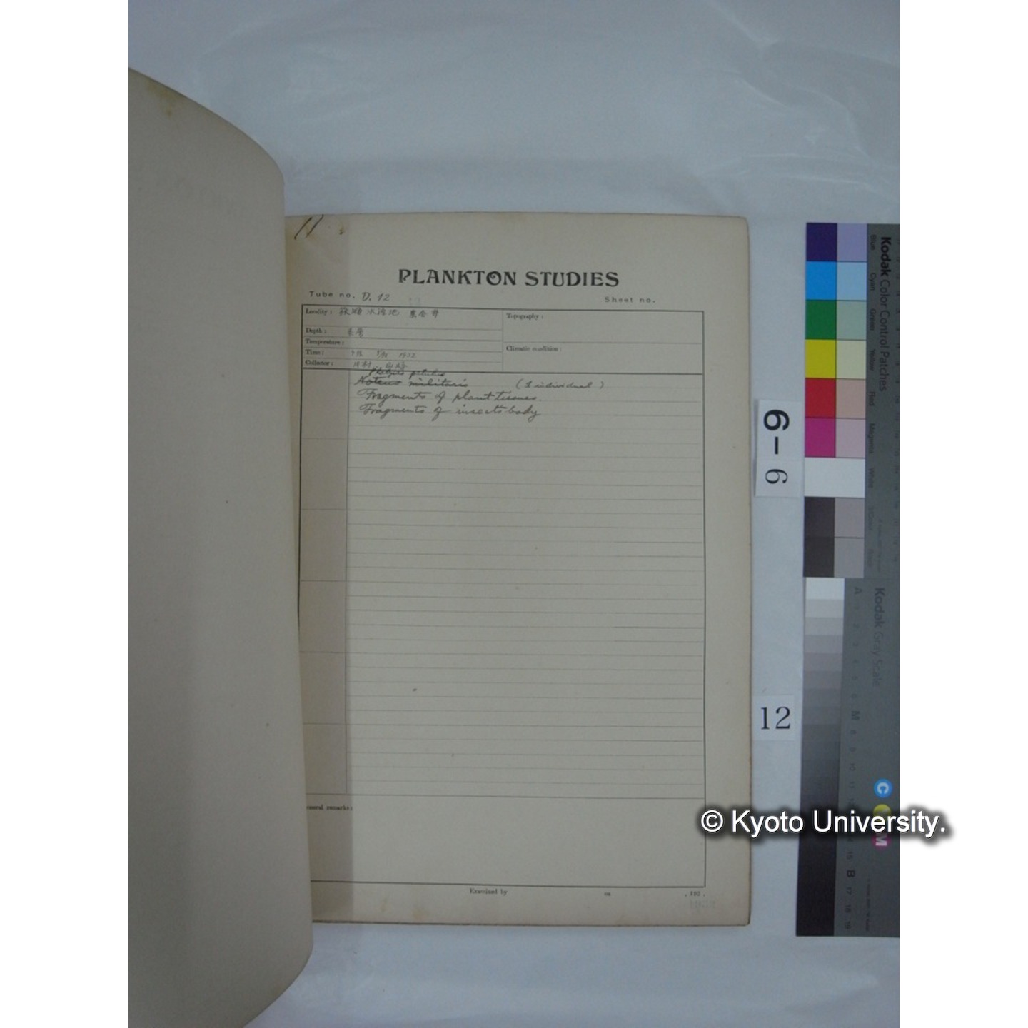 プランクトン標本調査カード (昭和7年,満州調査時採集標本) (12)