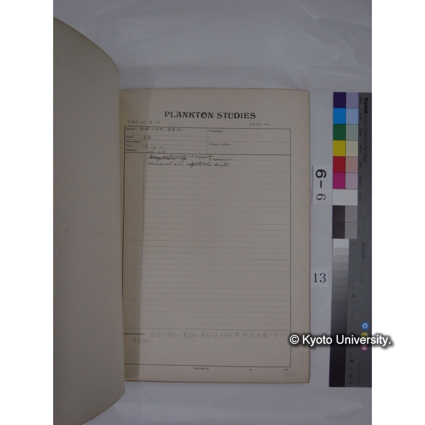 プランクトン標本調査カード (昭和7年,満州調査時採集標本) (13)