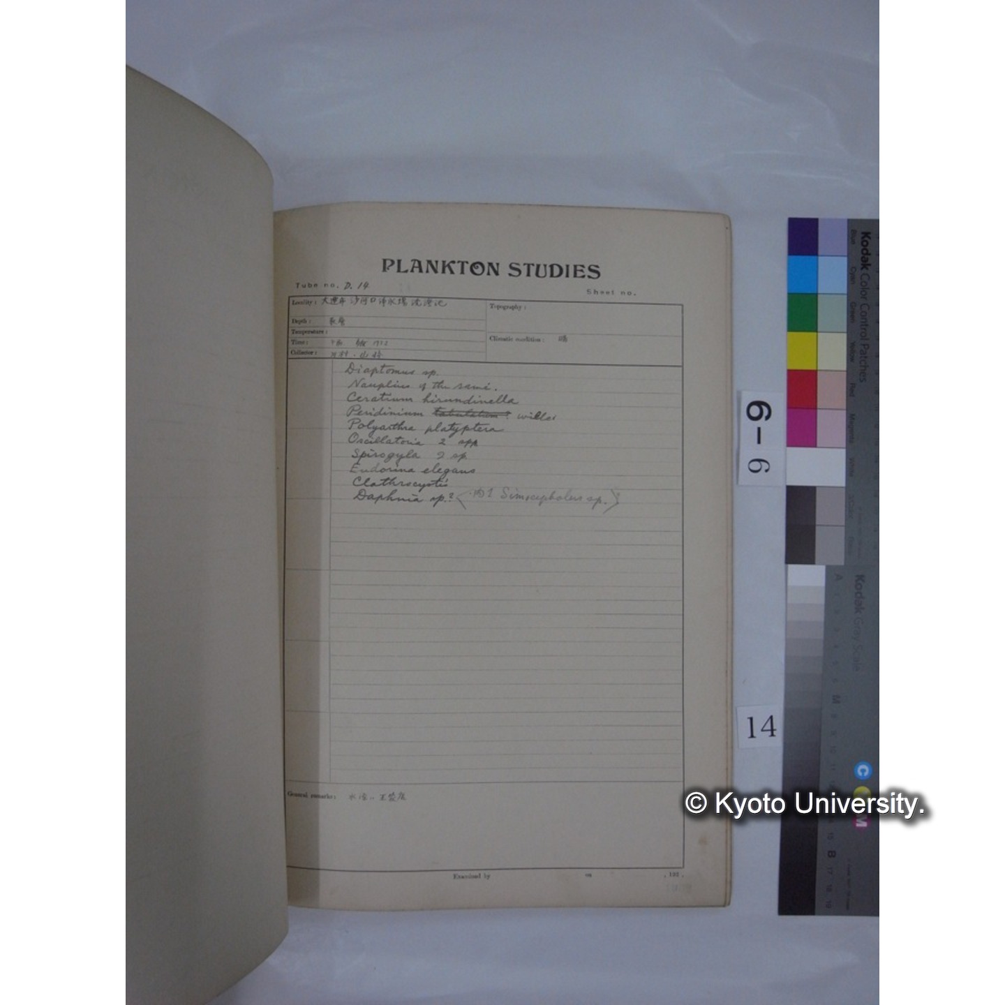 プランクトン標本調査カード (昭和7年,満州調査時採集標本) (14)