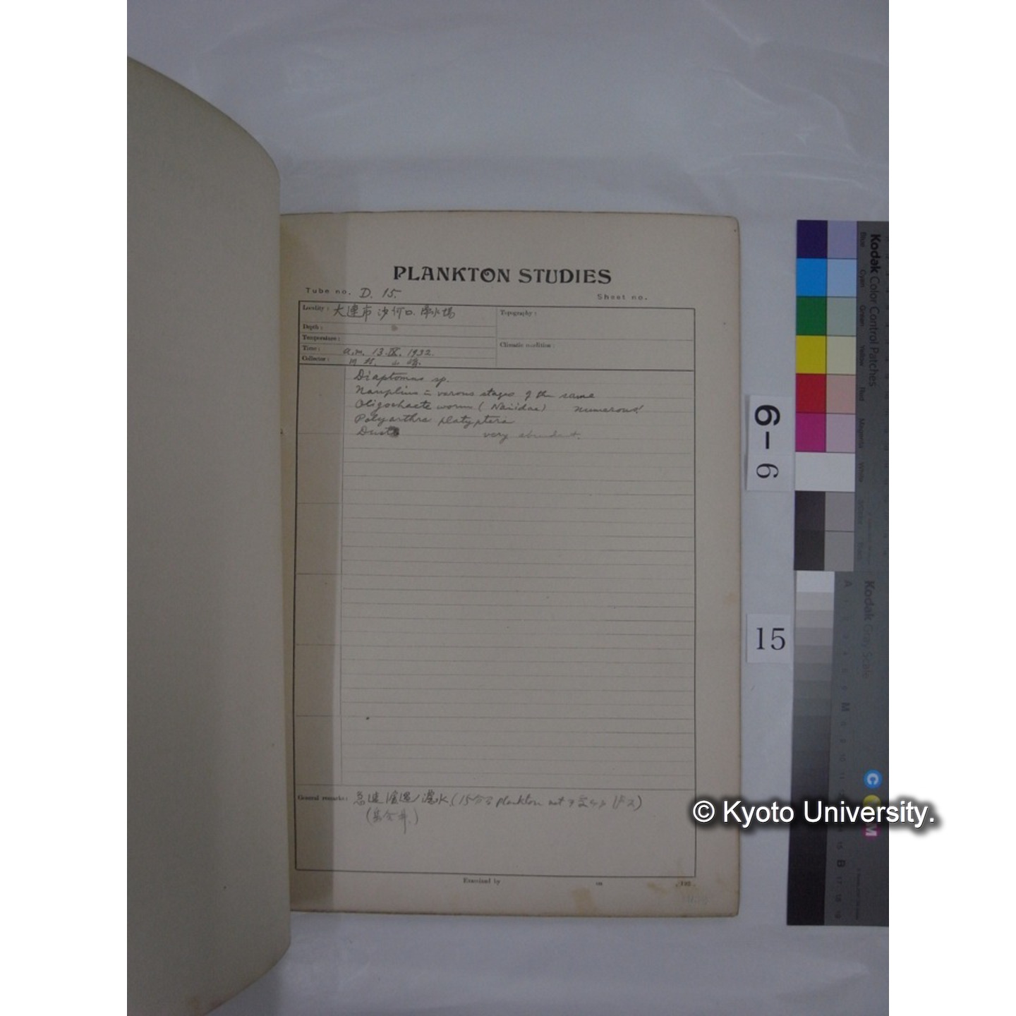 プランクトン標本調査カード (昭和7年,満州調査時採集標本) (15)