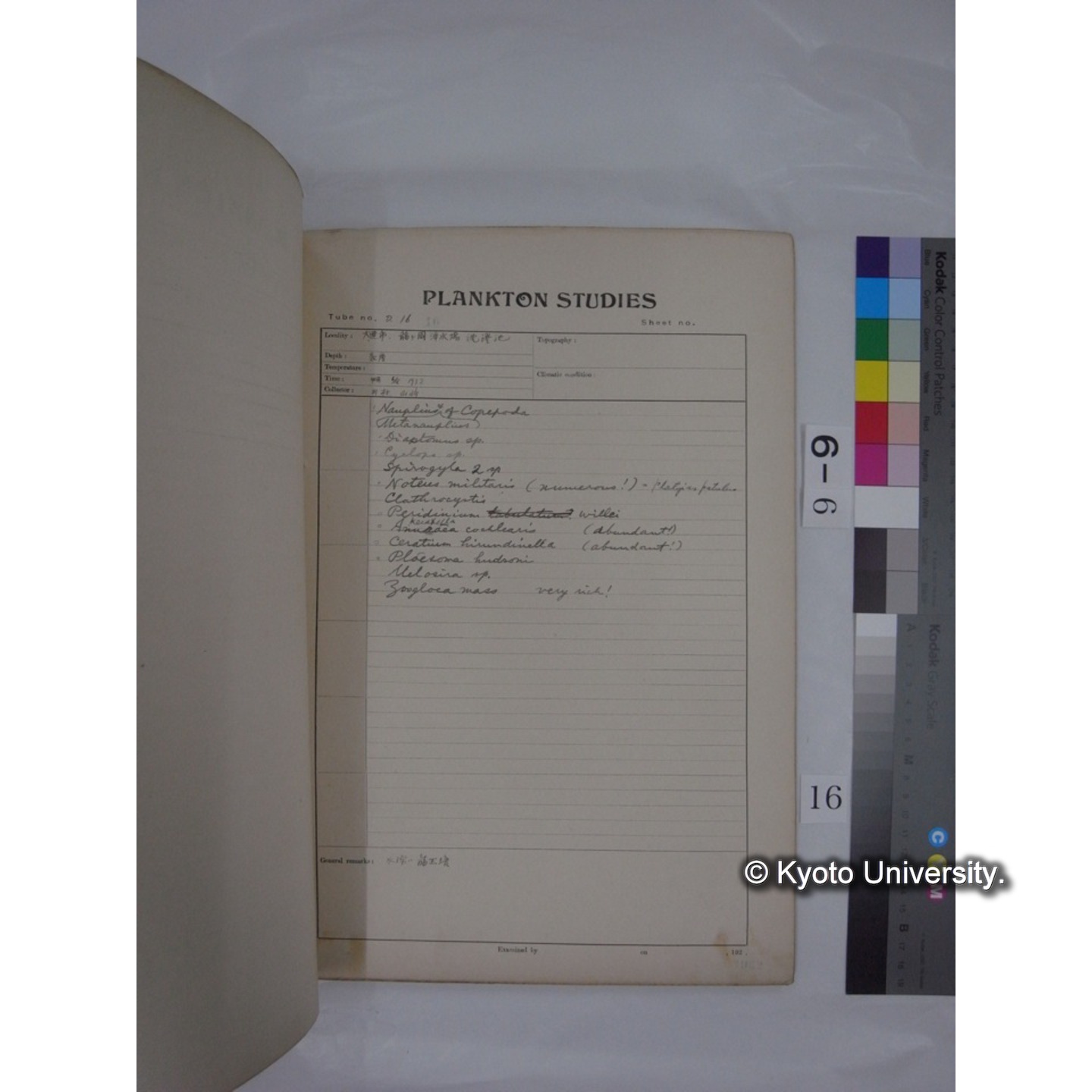 プランクトン標本調査カード (昭和7年,満州調査時採集標本) (16)