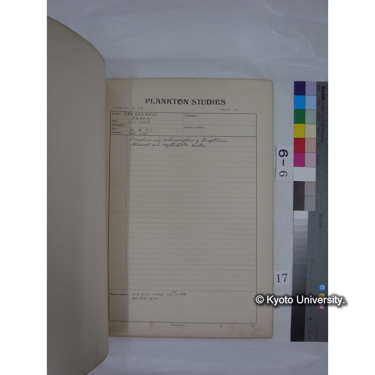プランクトン標本調査カード (昭和7年,満州調査時採集標本) (17)