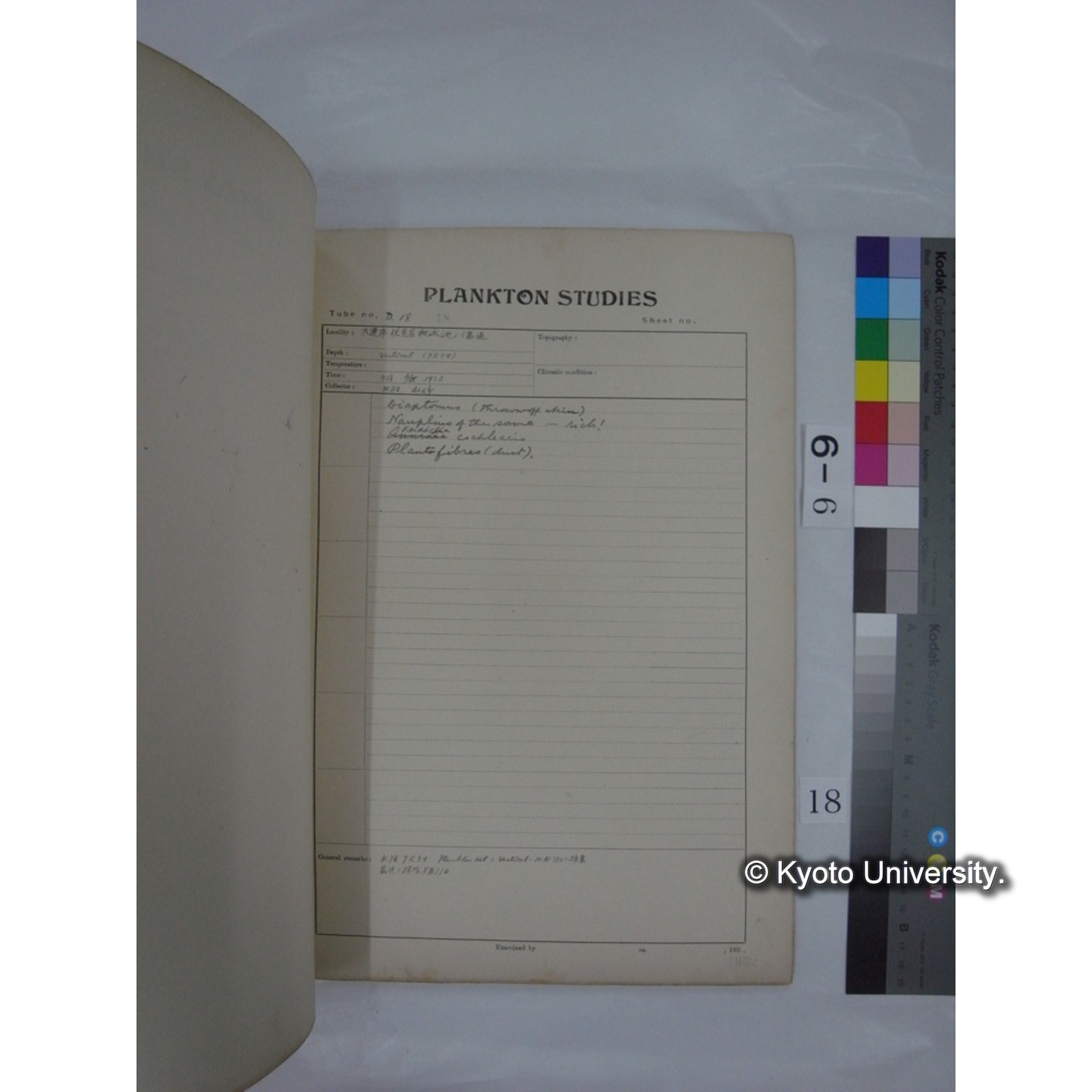プランクトン標本調査カード (昭和7年,満州調査時採集標本) (18)