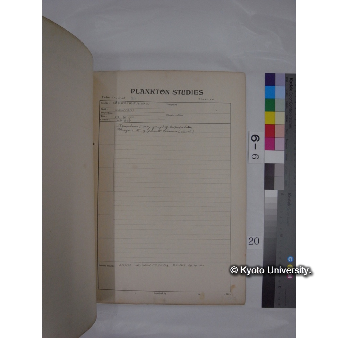 プランクトン標本調査カード (昭和7年,満州調査時採集標本) (20)