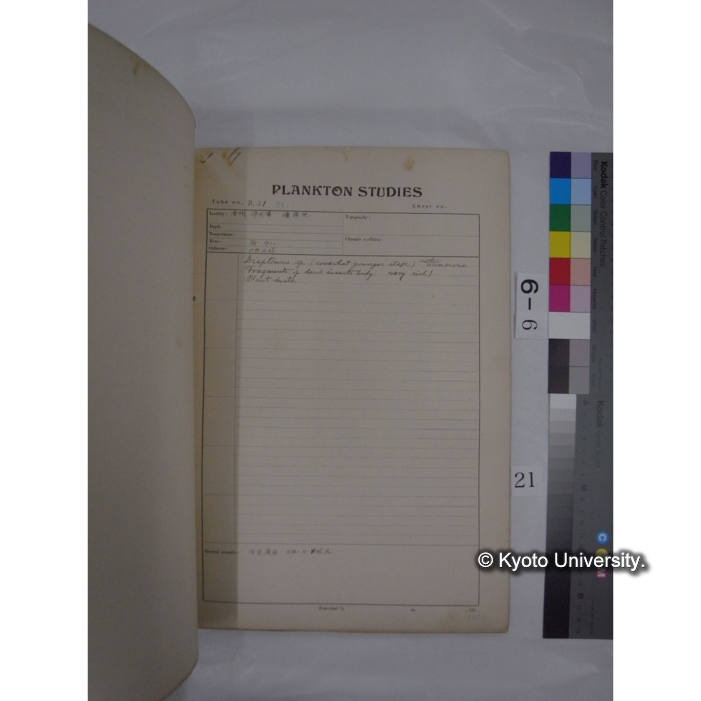 プランクトン標本調査カード (昭和7年,満州調査時採集標本) (21)