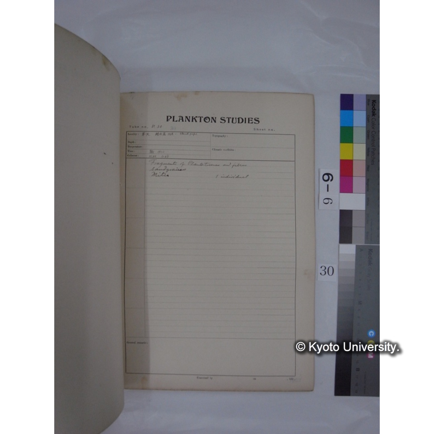 プランクトン標本調査カード (昭和7年,満州調査時採集標本) (30)