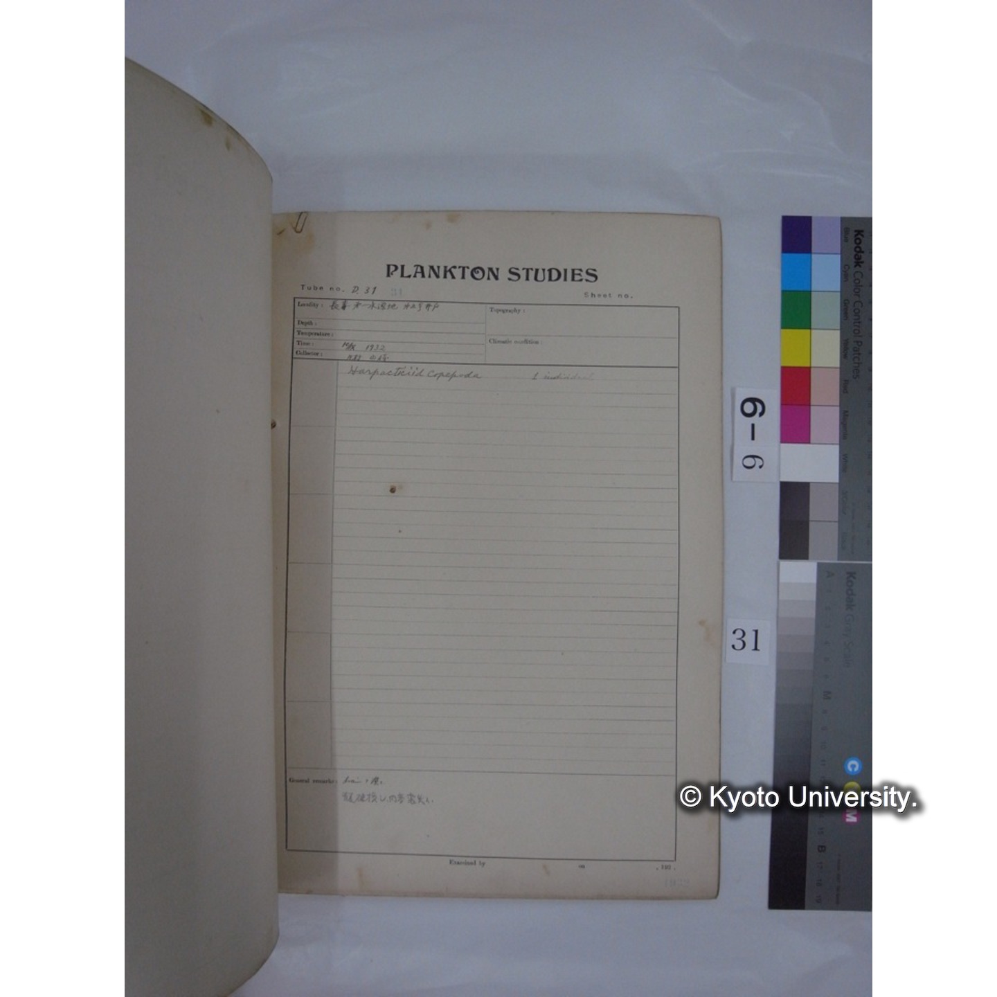 プランクトン標本調査カード (昭和7年,満州調査時採集標本) (31)