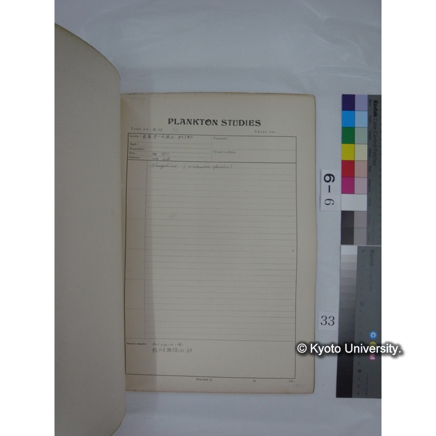 プランクトン標本調査カード (昭和7年,満州調査時採集標本) (33)