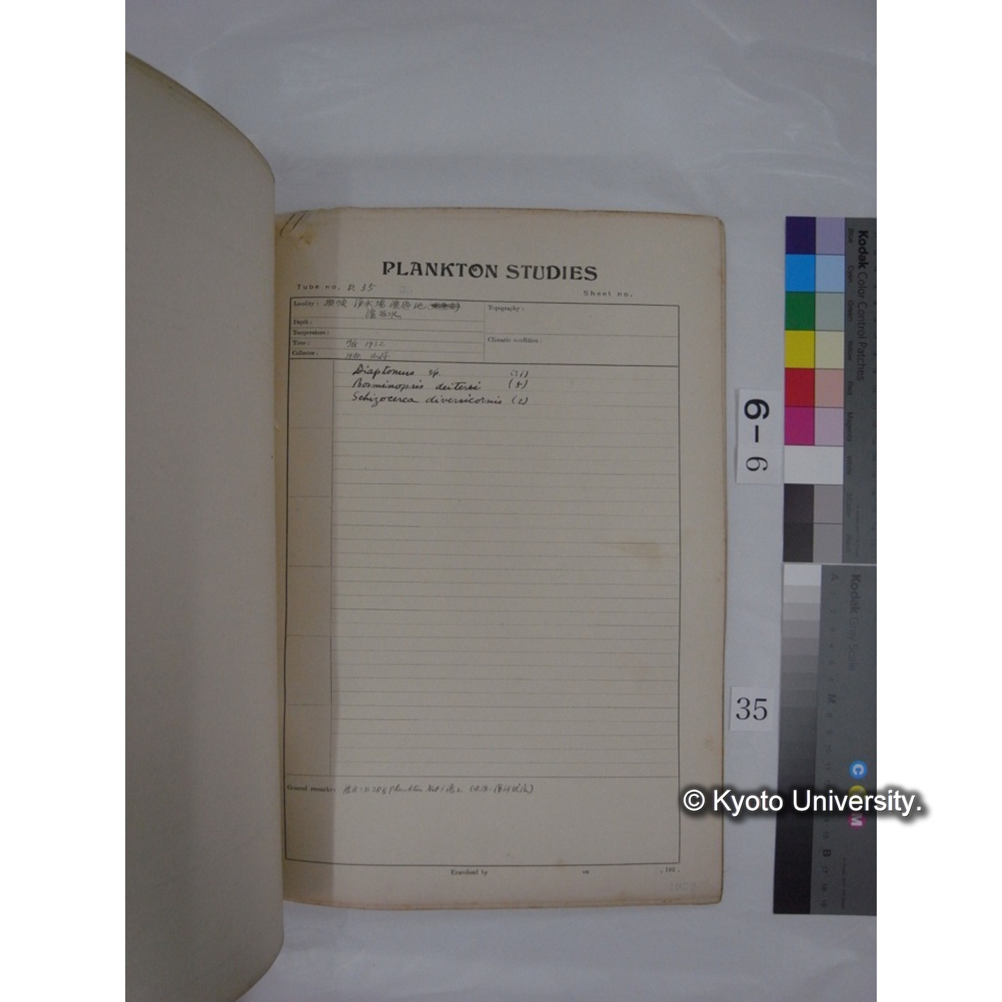 プランクトン標本調査カード (昭和7年,満州調査時採集標本) (35)