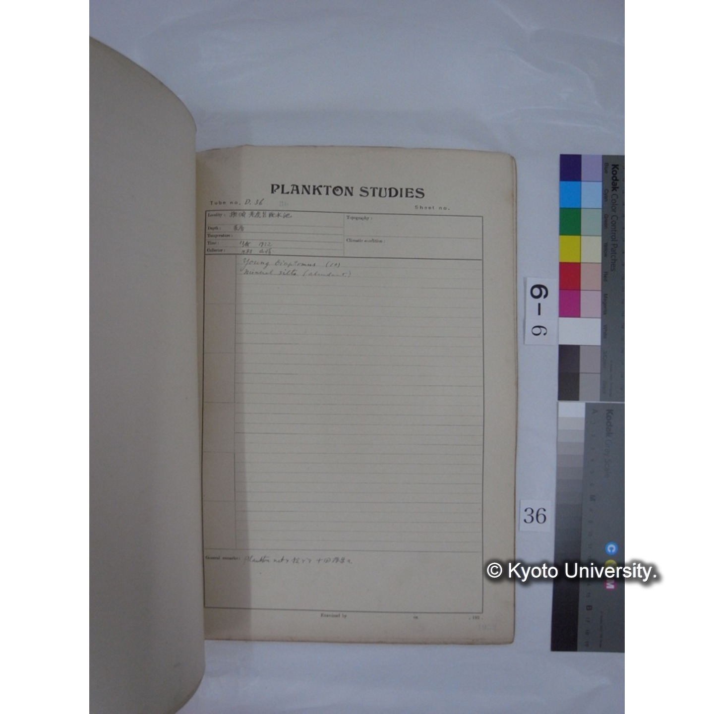 プランクトン標本調査カード (昭和7年,満州調査時採集標本) (36)