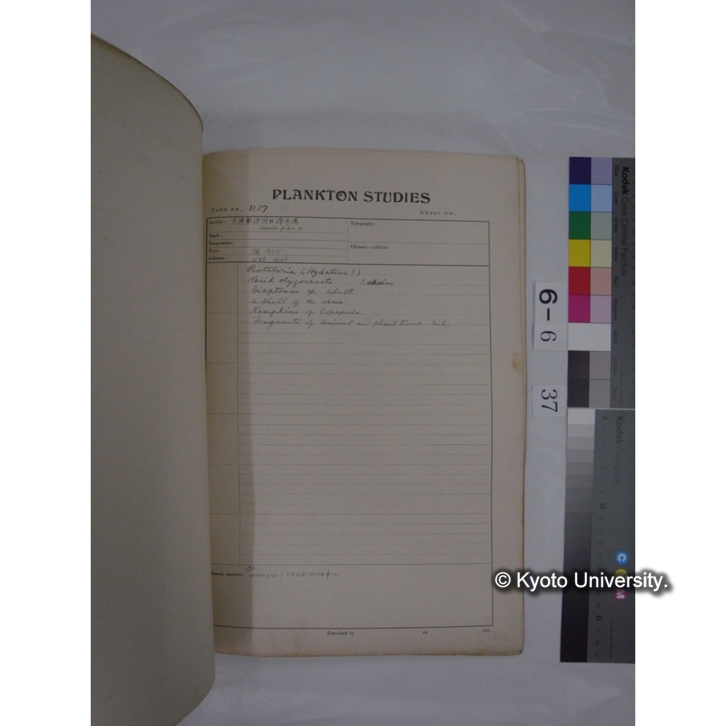 プランクトン標本調査カード (昭和7年,満州調査時採集標本) (37)