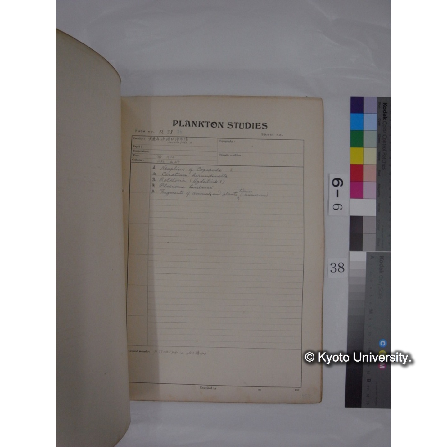 プランクトン標本調査カード (昭和7年,満州調査時採集標本) (38)