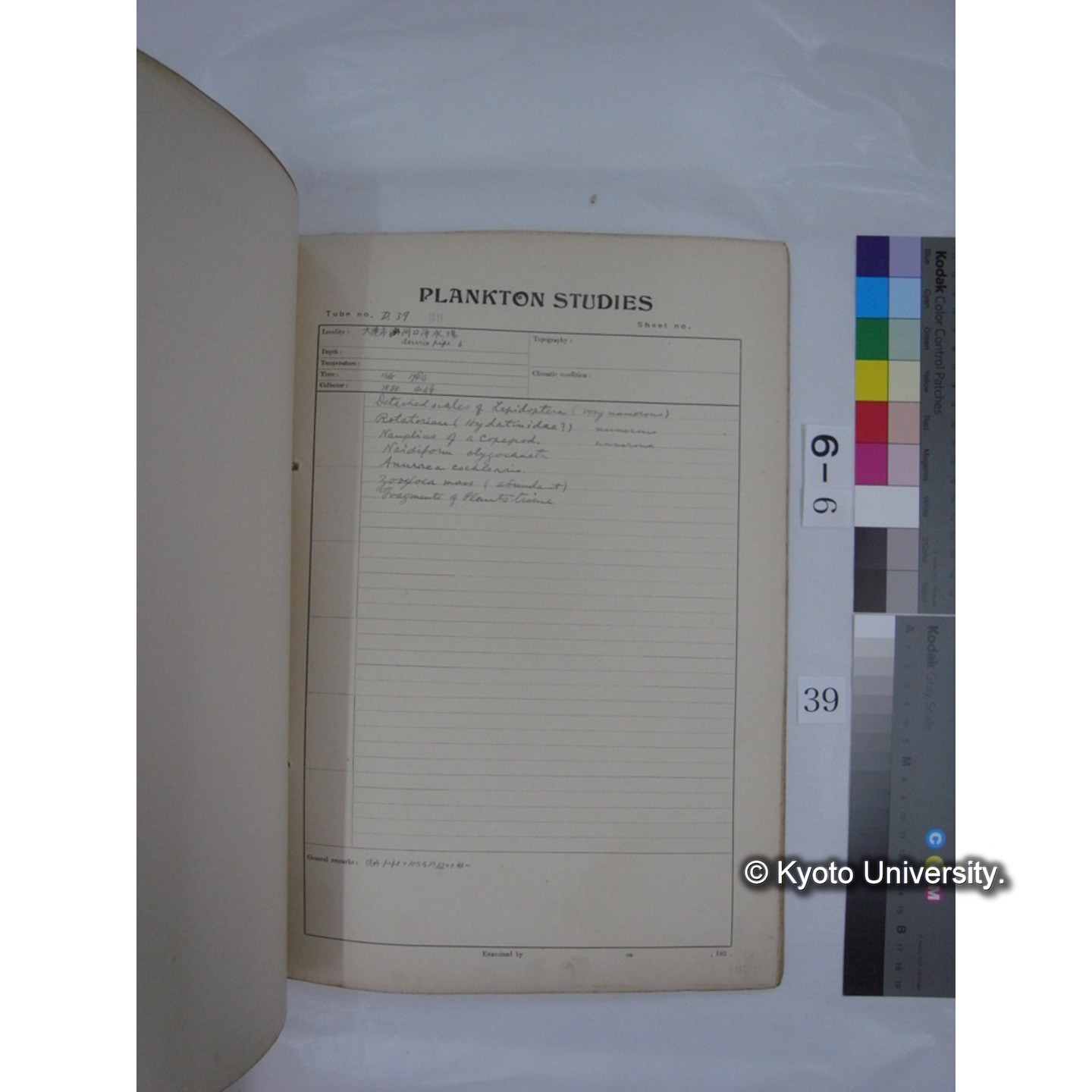 プランクトン標本調査カード (昭和7年,満州調査時採集標本) (39)
