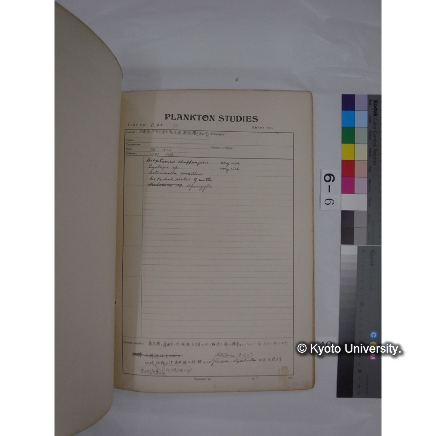 プランクトン標本調査カード (昭和7年,満州調査時採集標本) (40)