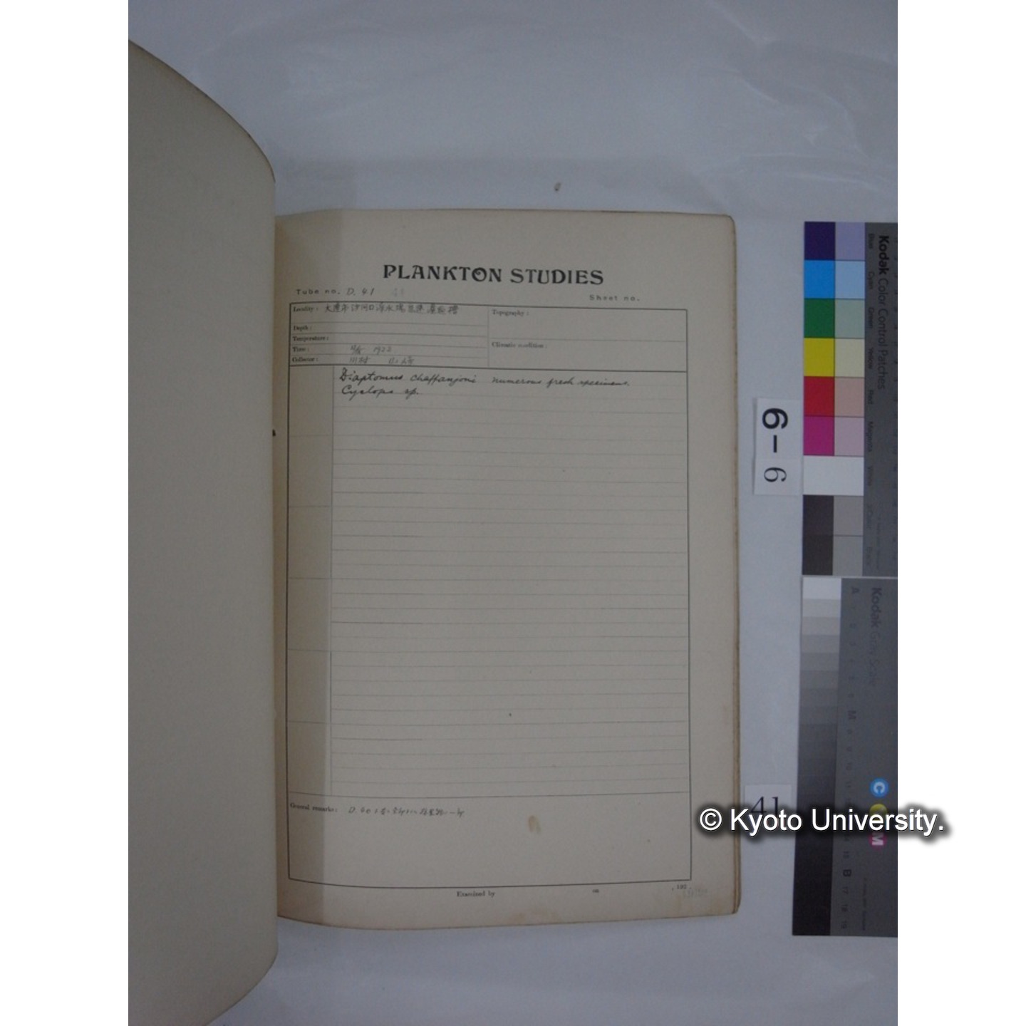 プランクトン標本調査カード (昭和7年,満州調査時採集標本) (41)