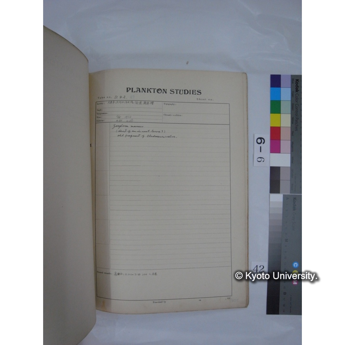プランクトン標本調査カード (昭和7年,満州調査時採集標本) (42)