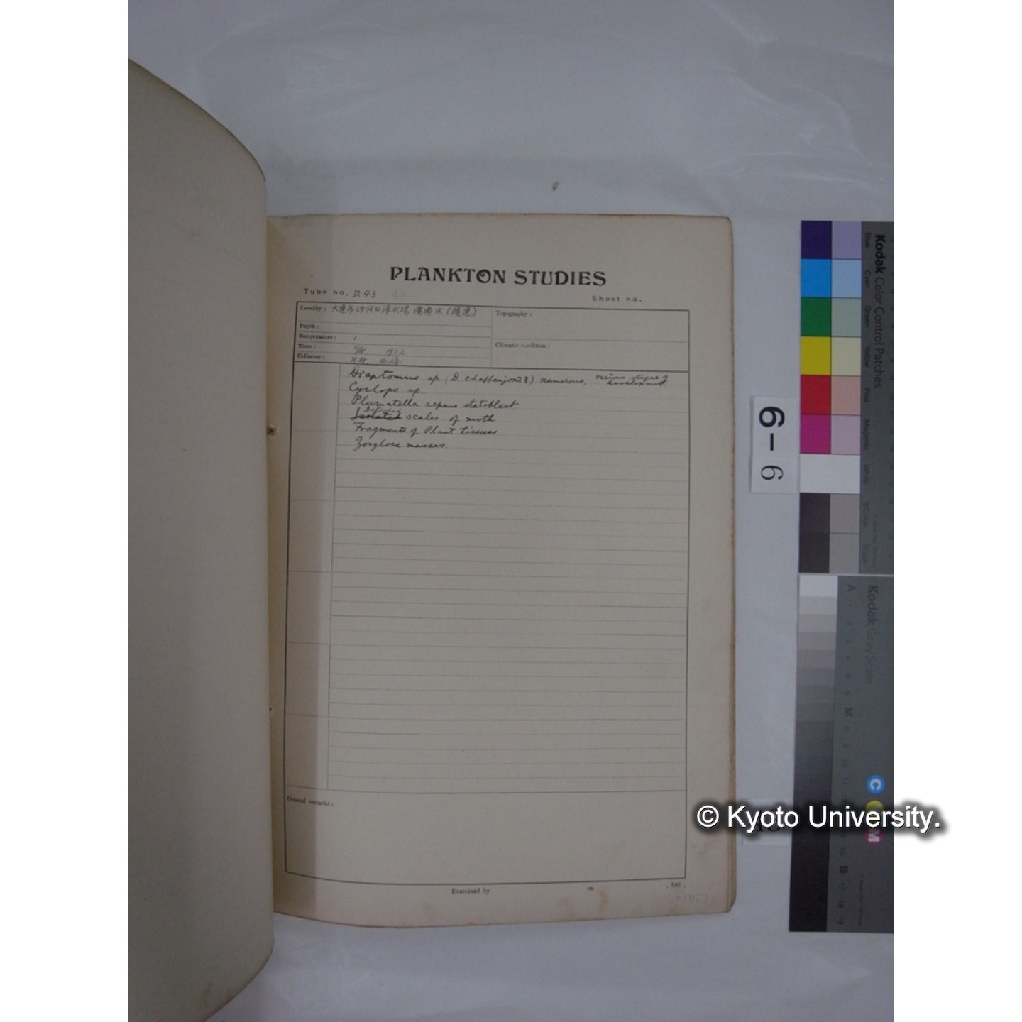 プランクトン標本調査カード (昭和7年,満州調査時採集標本) (43)