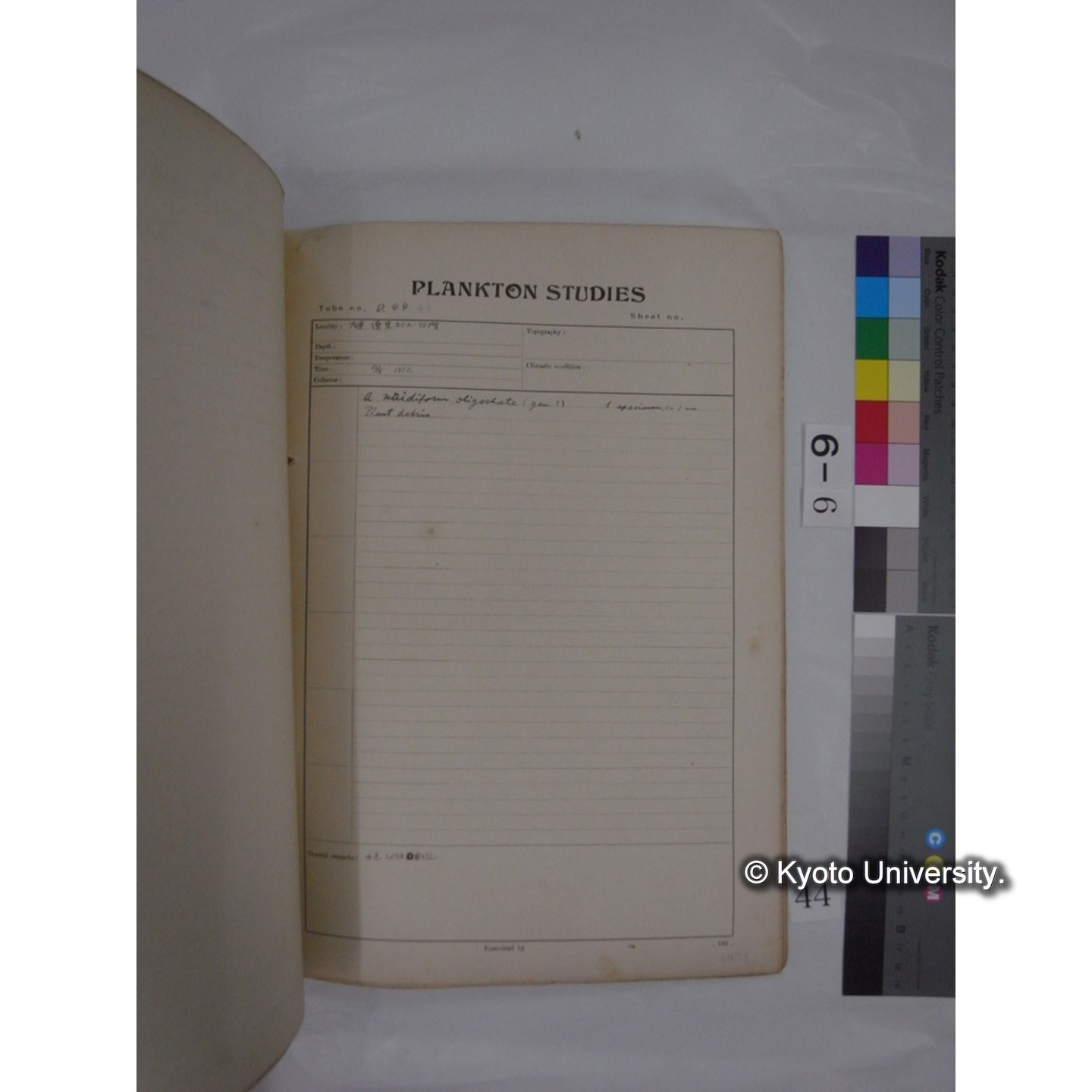 プランクトン標本調査カード (昭和7年,満州調査時採集標本) (44)