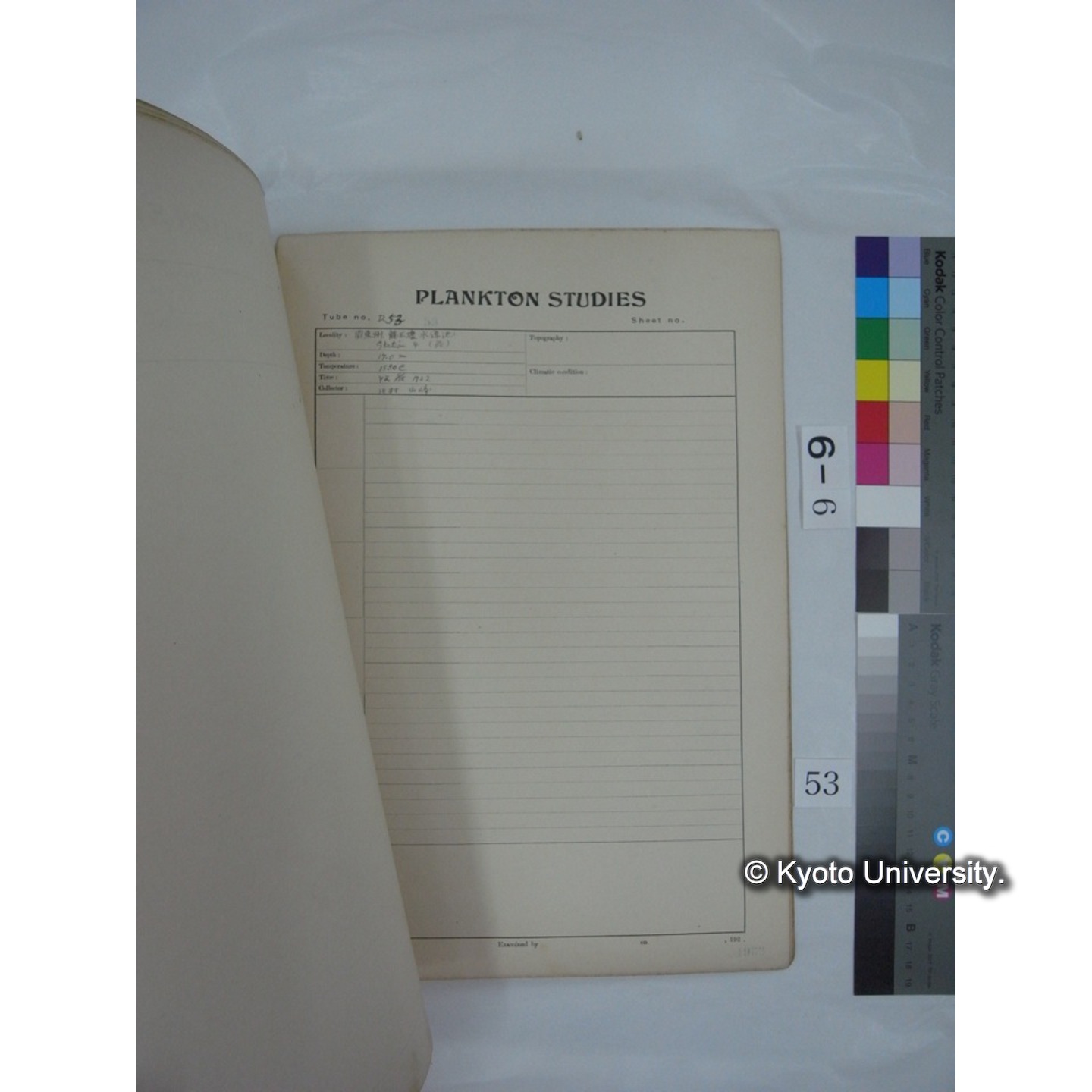 プランクトン標本調査カード (昭和7年,満州調査時採集標本) (53)