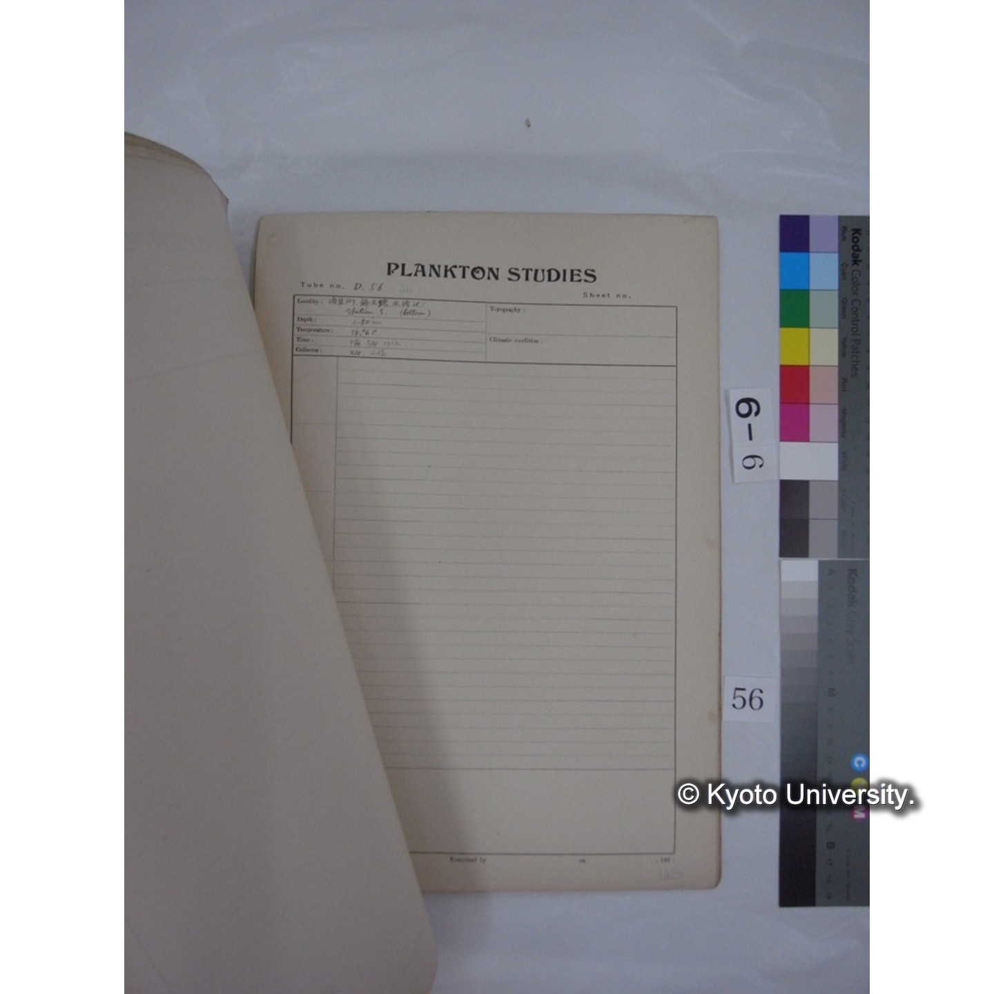 プランクトン標本調査カード (昭和7年,満州調査時採集標本) (56)