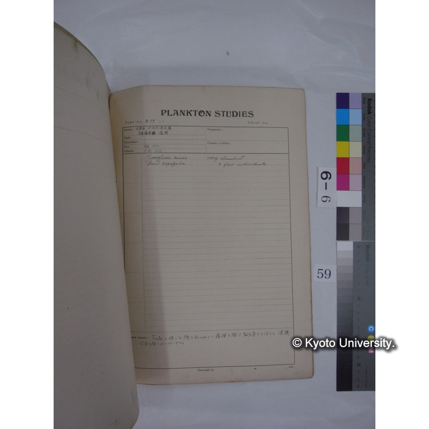 プランクトン標本調査カード (昭和7年,満州調査時採集標本) (59)