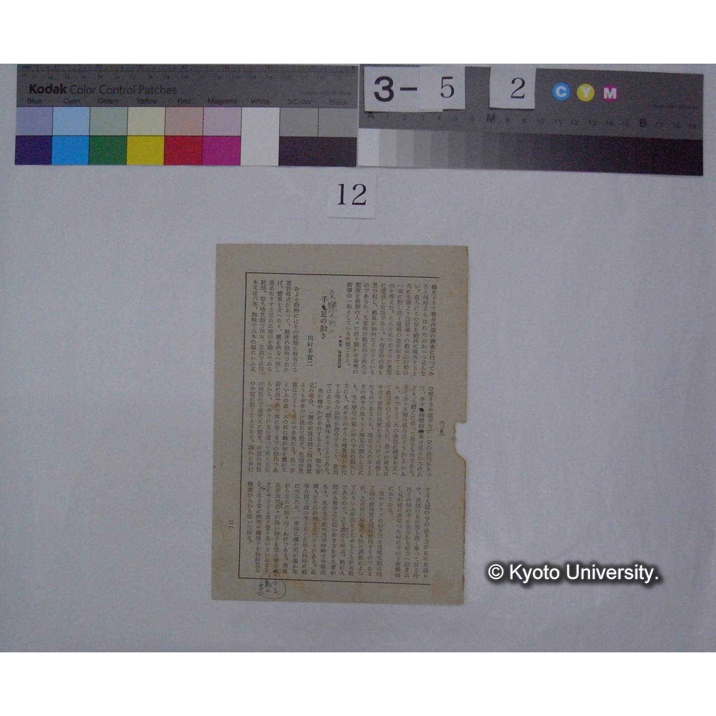 (「文楽人形の」)手と足の動き / 川村多實二 (科学文化; 昭和18年1月号切抜) (1)