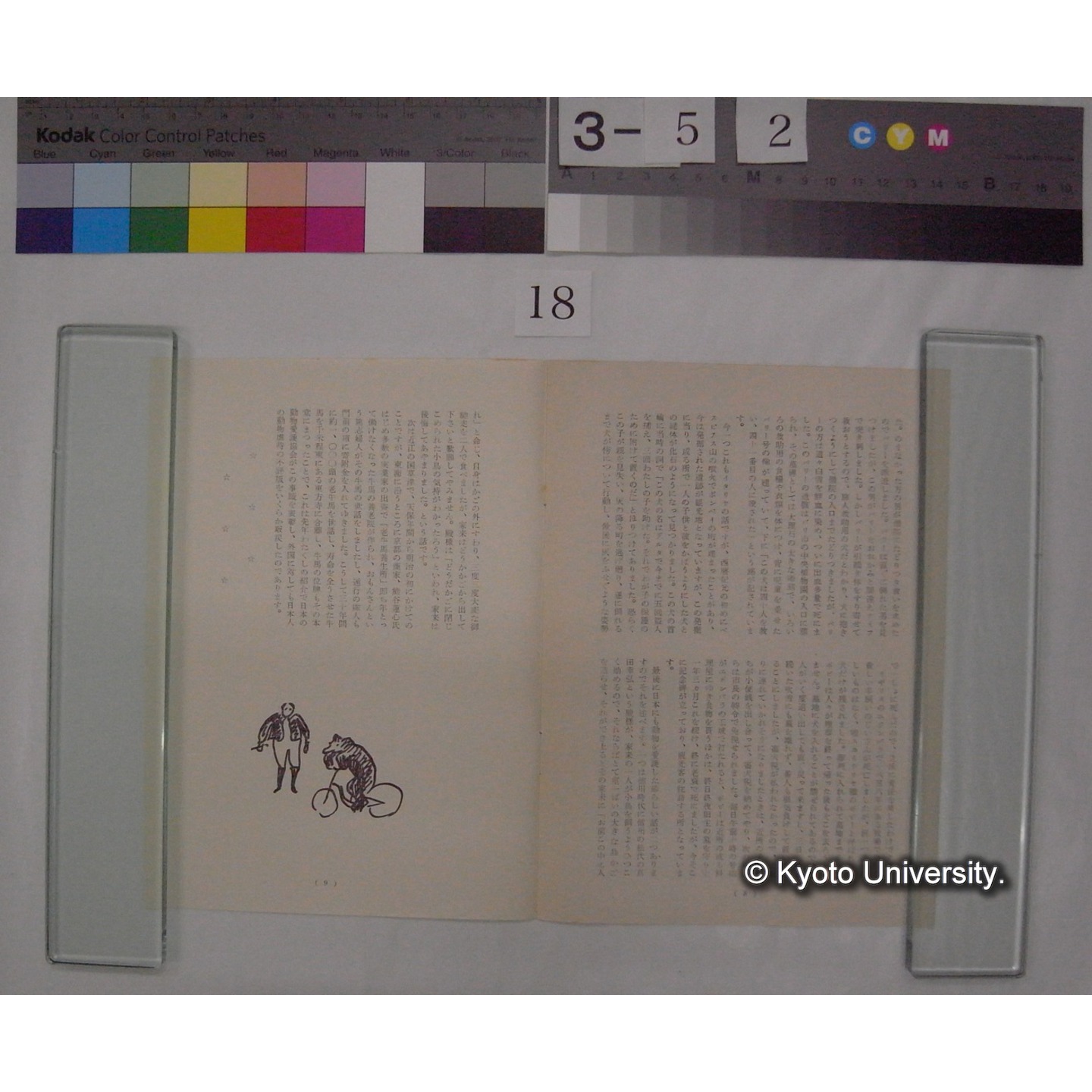 動物愛護に関する講話会講演要旨 ; 講師川村多實二先生 / 神戸市動物愛護協会 (3)