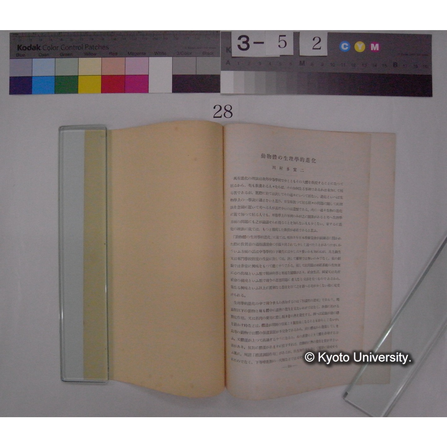 動物体の生理学的進化 / 川村多實二 (植物及動物; 4巻1号別刷) (2)